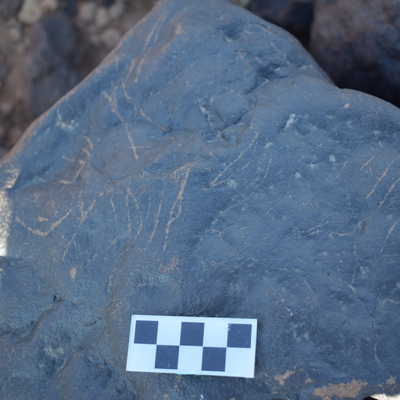 Image of siglum BES20 1407