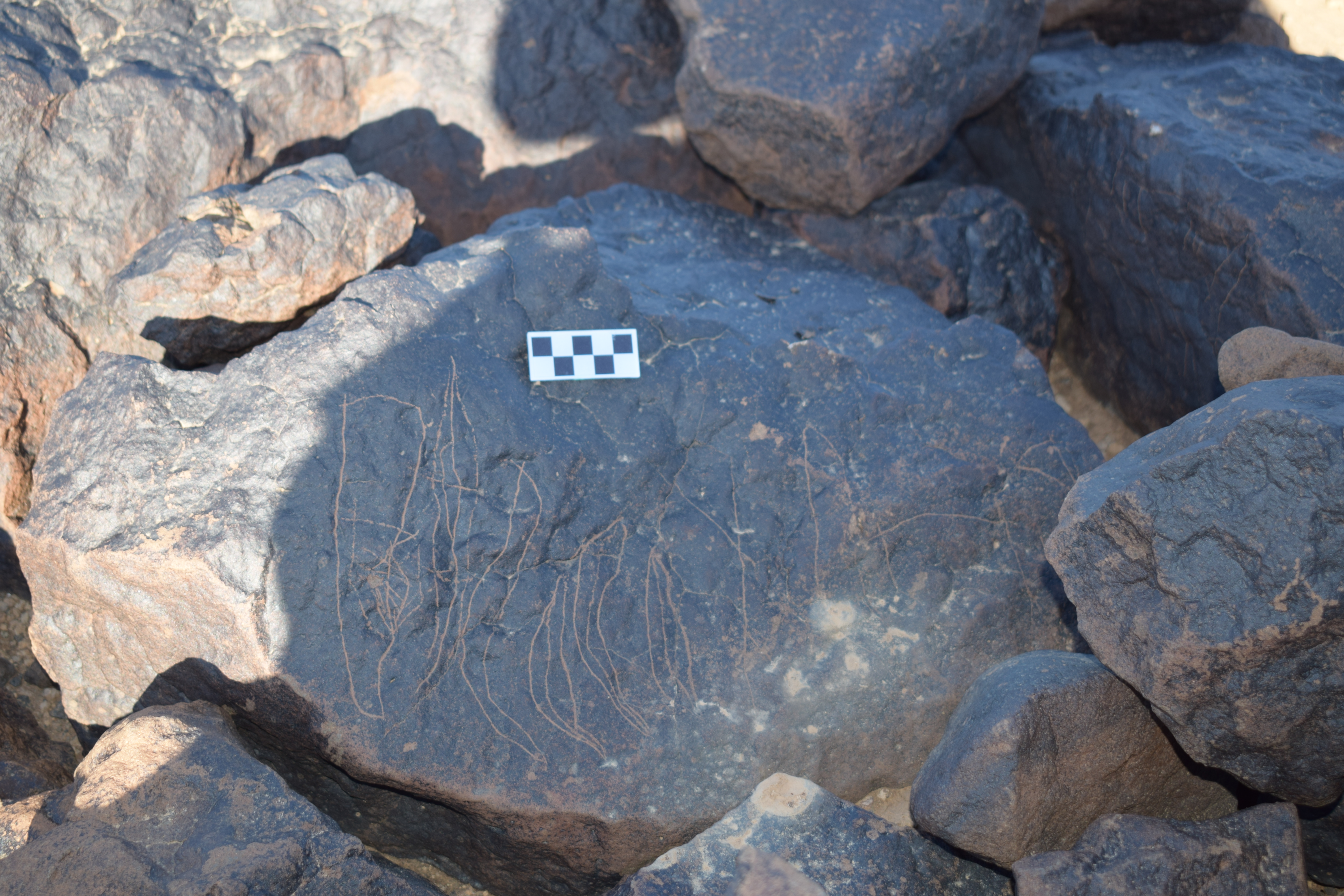 Image of siglum BES20 1408