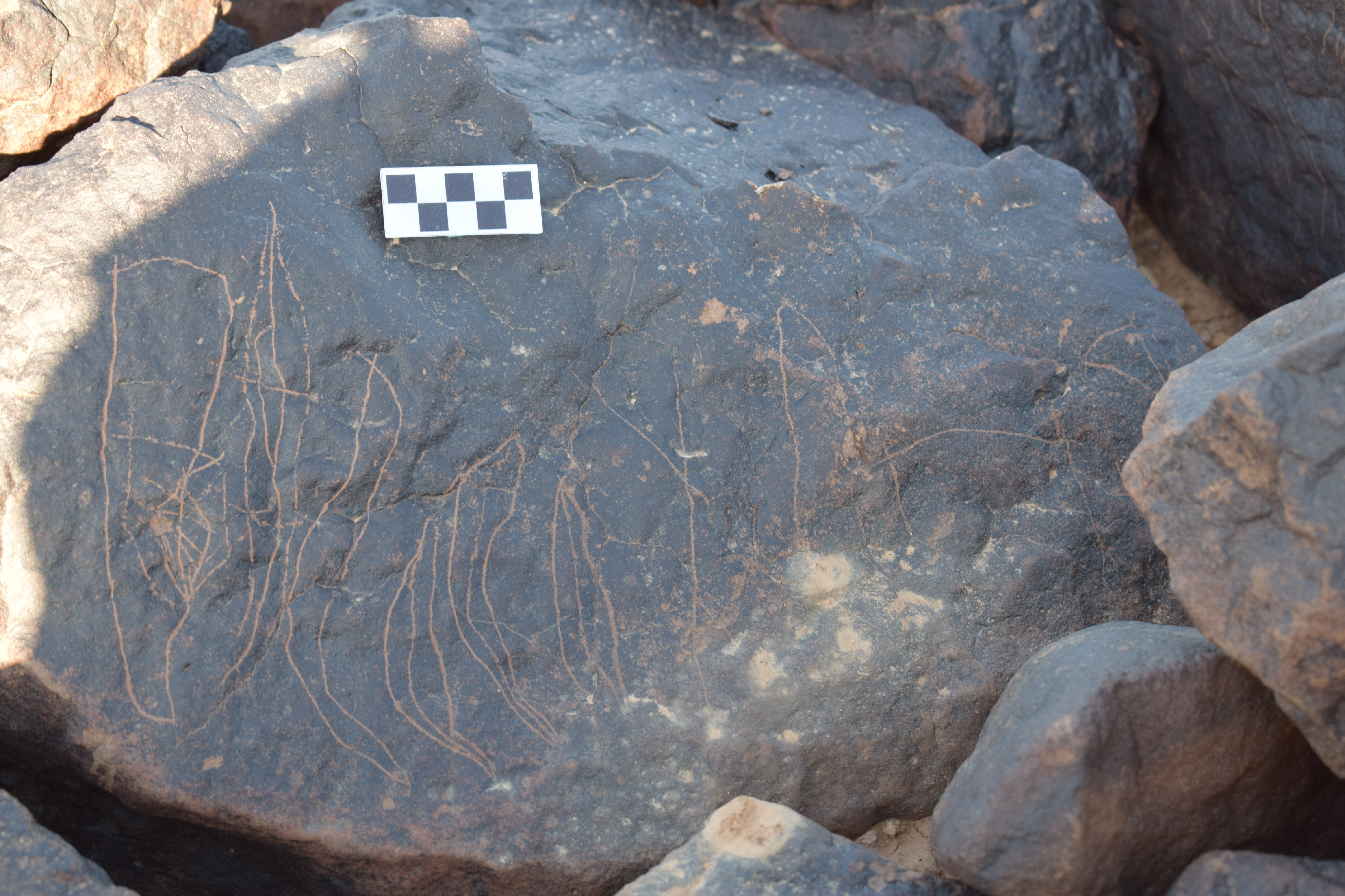 Image of siglum BES20 1408