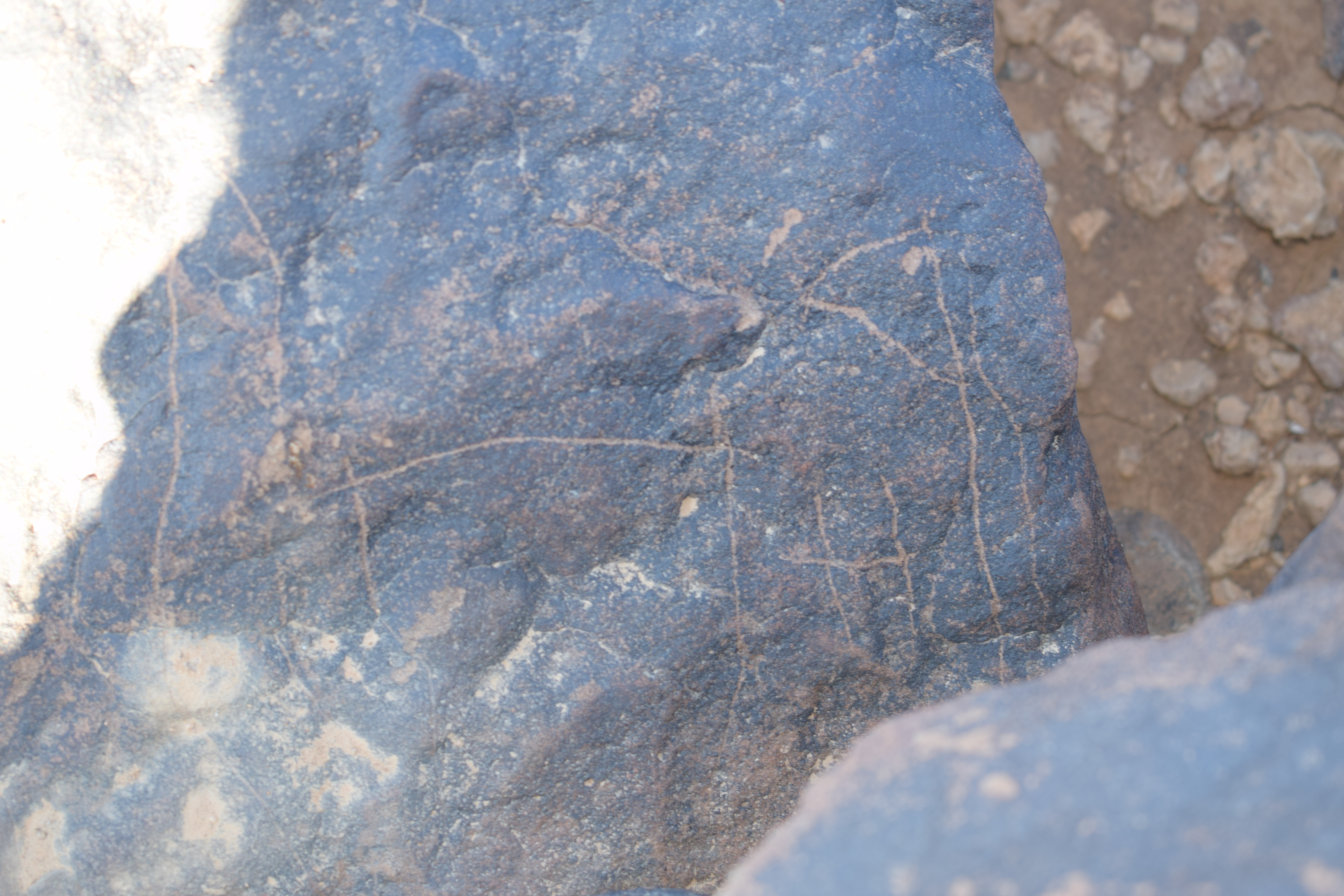 Image of siglum BES20 1408