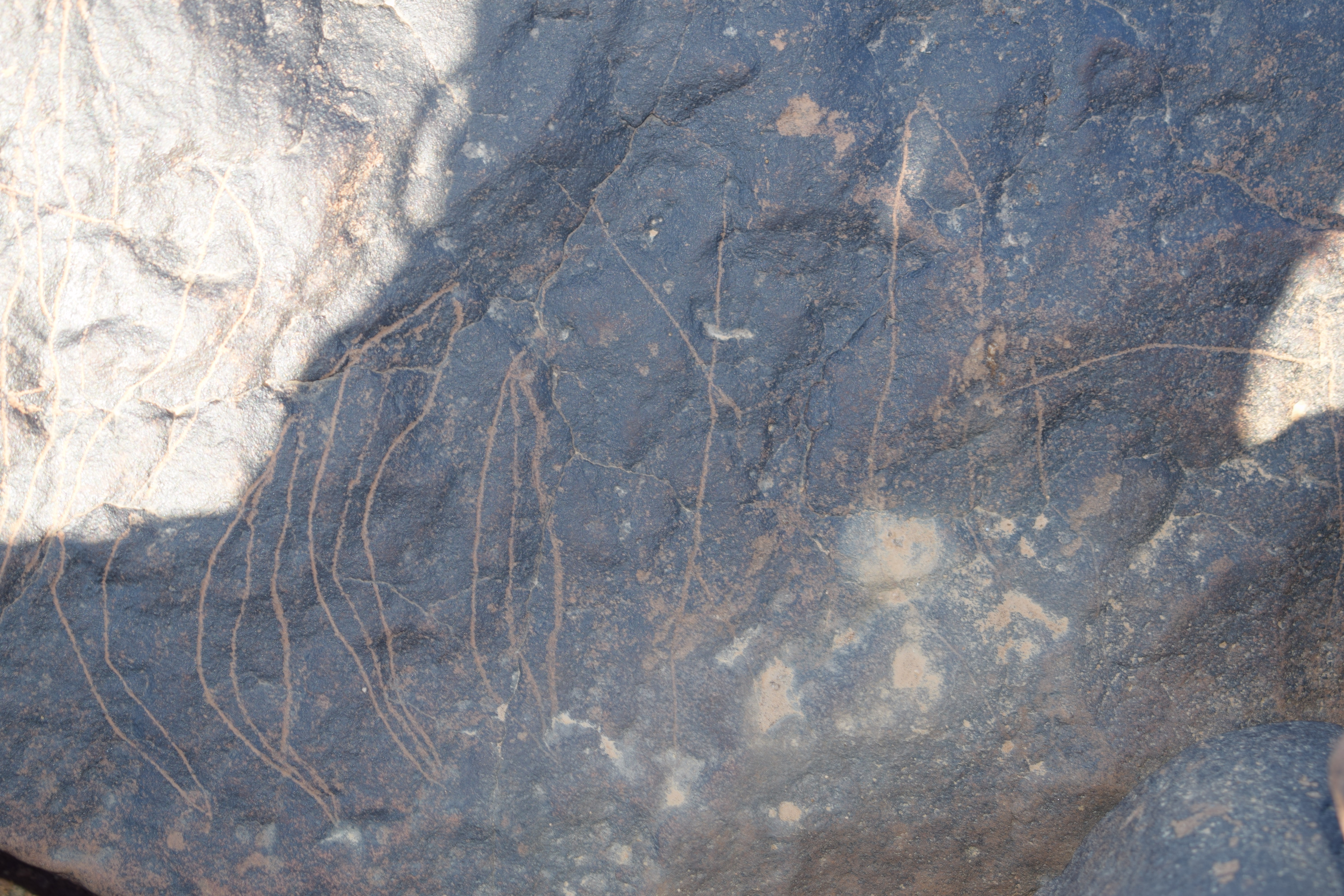 Image of siglum BES20 1408