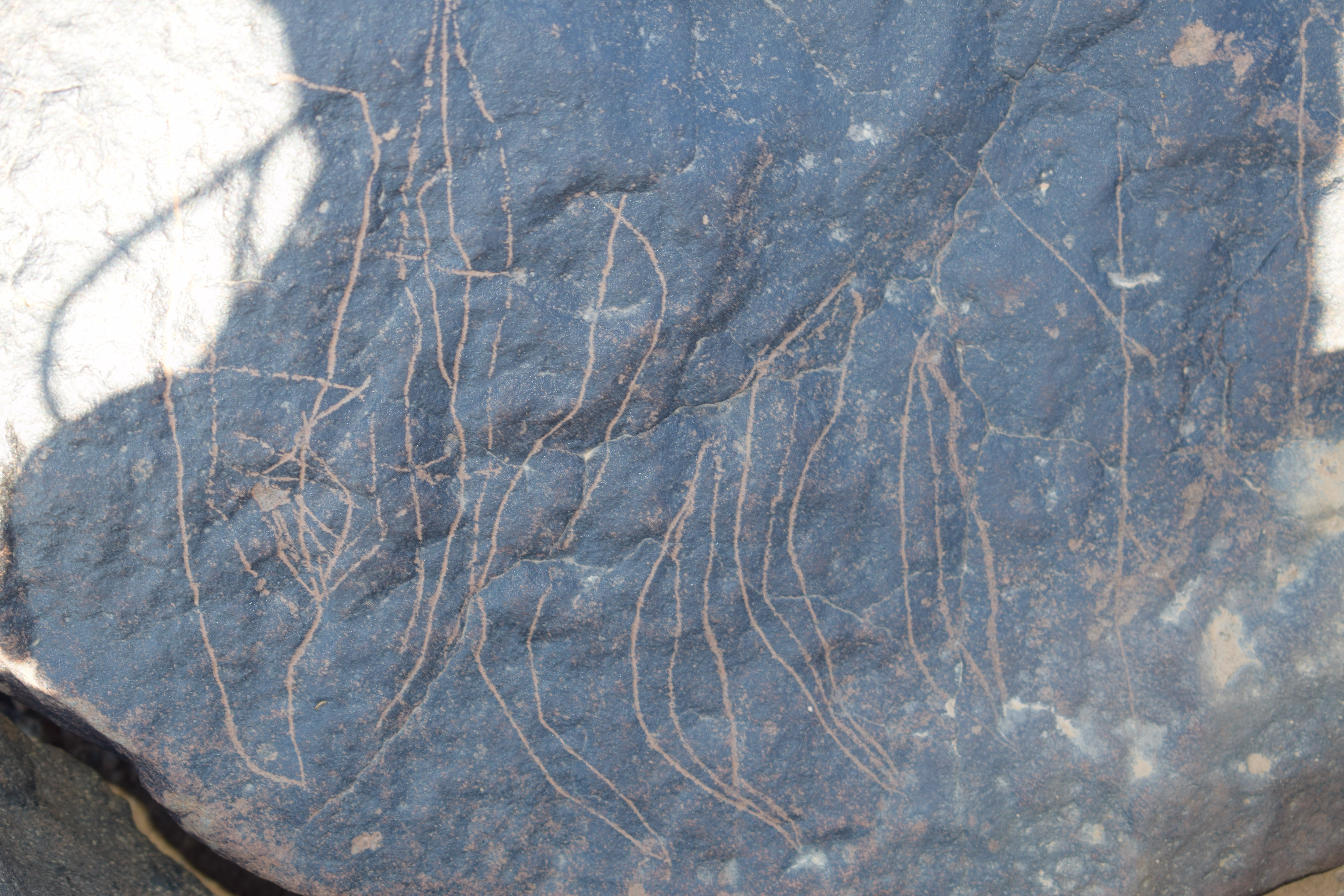 Image of siglum BES20 1408