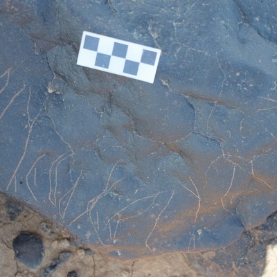 Image of siglum BES20 1409