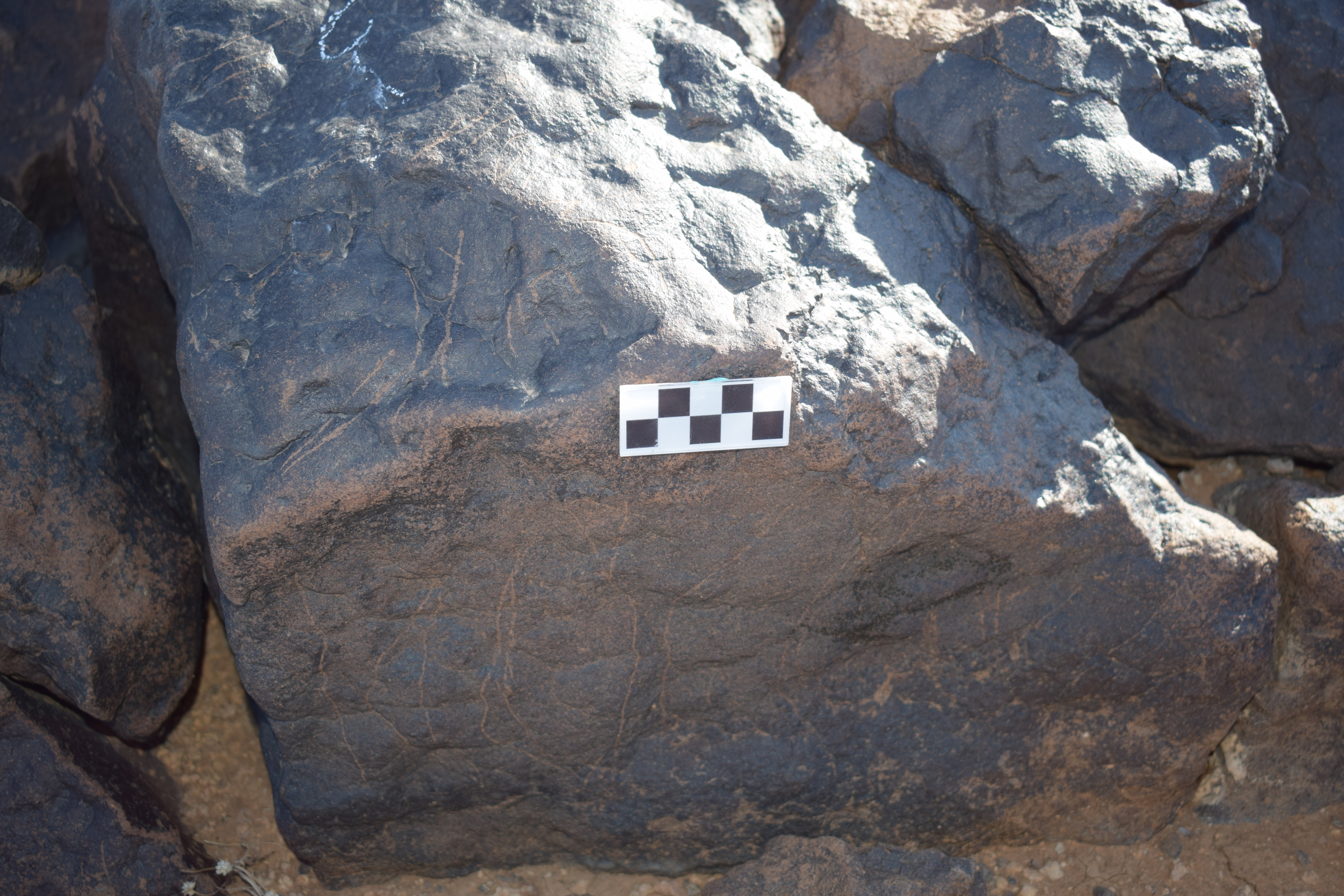 Image of siglum BES20 1410