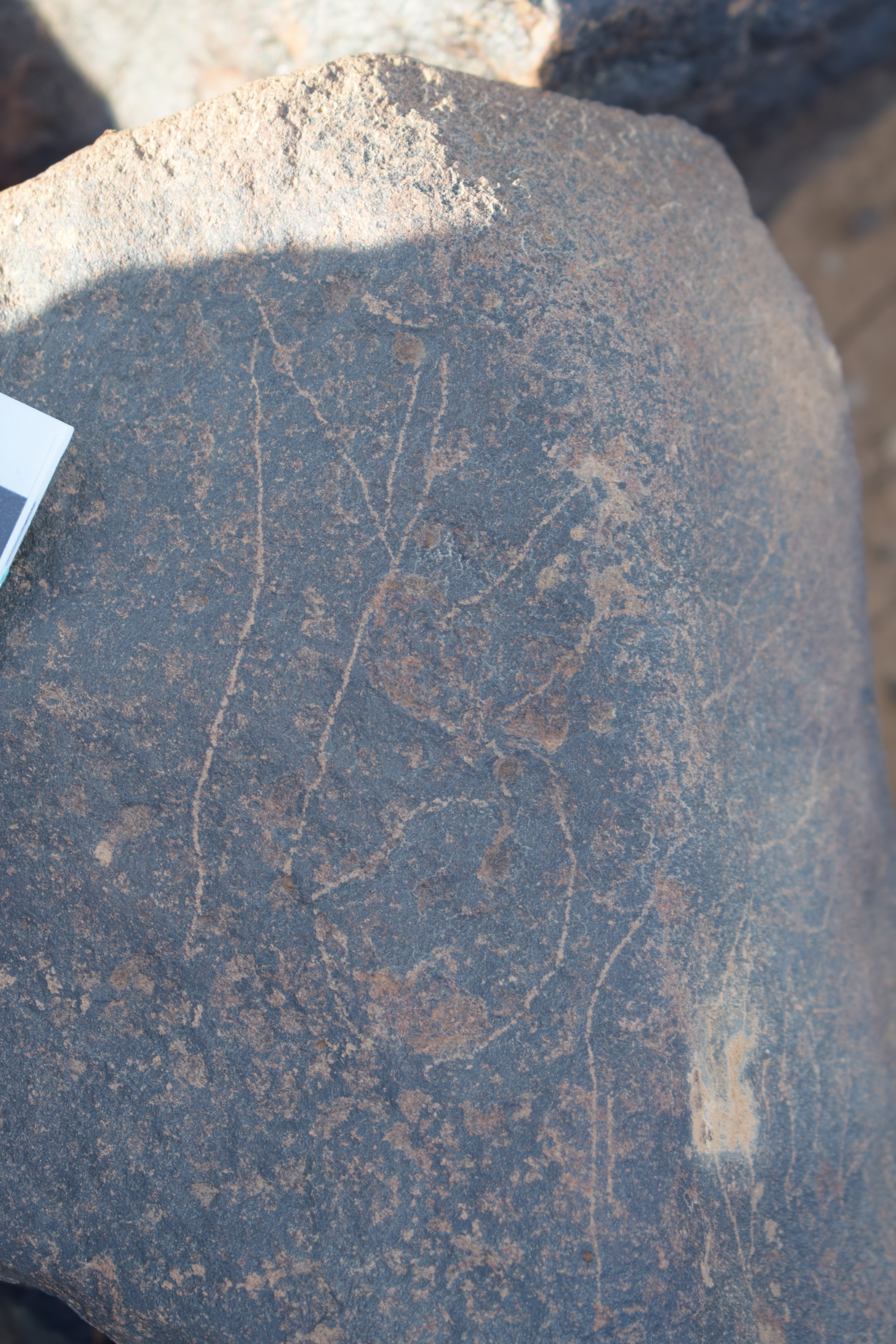 Image of siglum BES20 1411