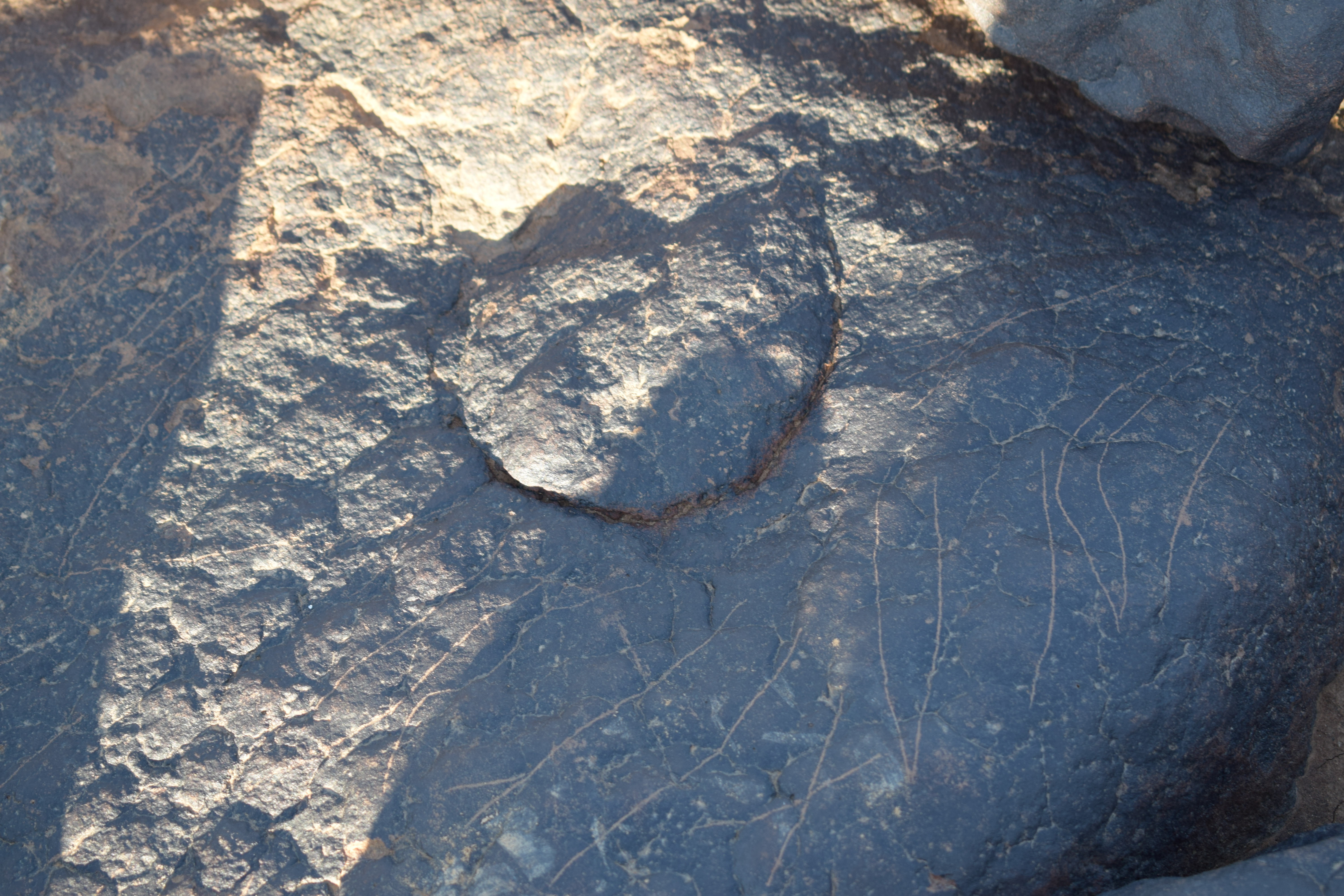 Image of siglum BES20 1412.2