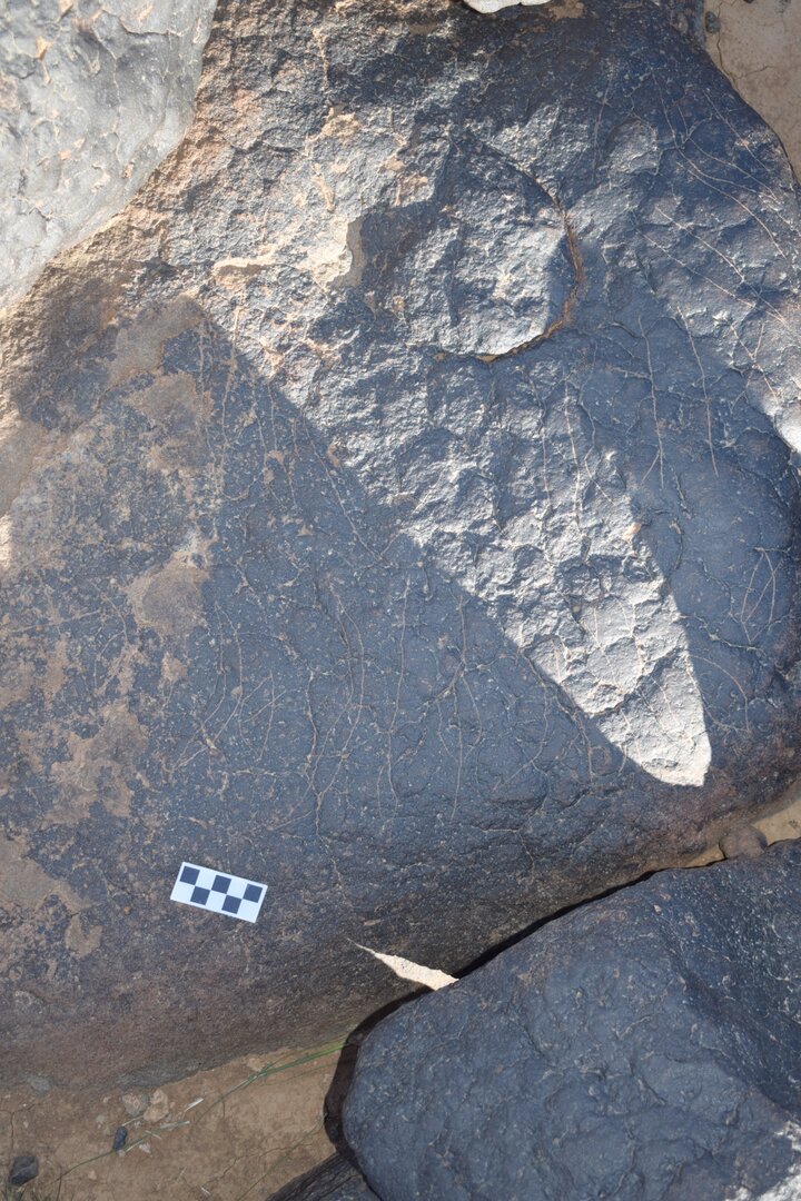 Image of siglum BES20 1412.2