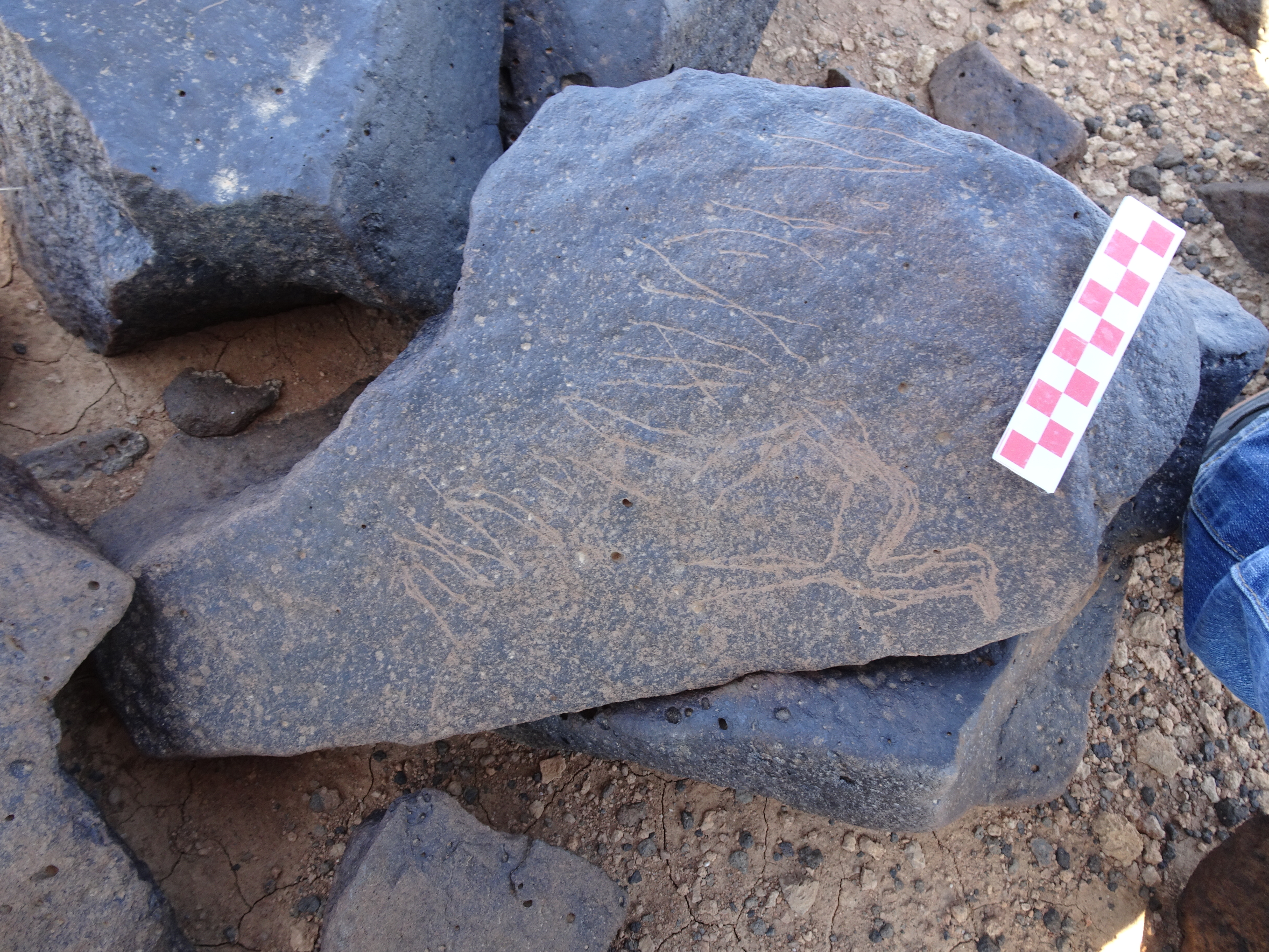 Image of siglum BES20 1415