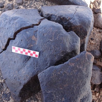 Image of siglum BES20 1416