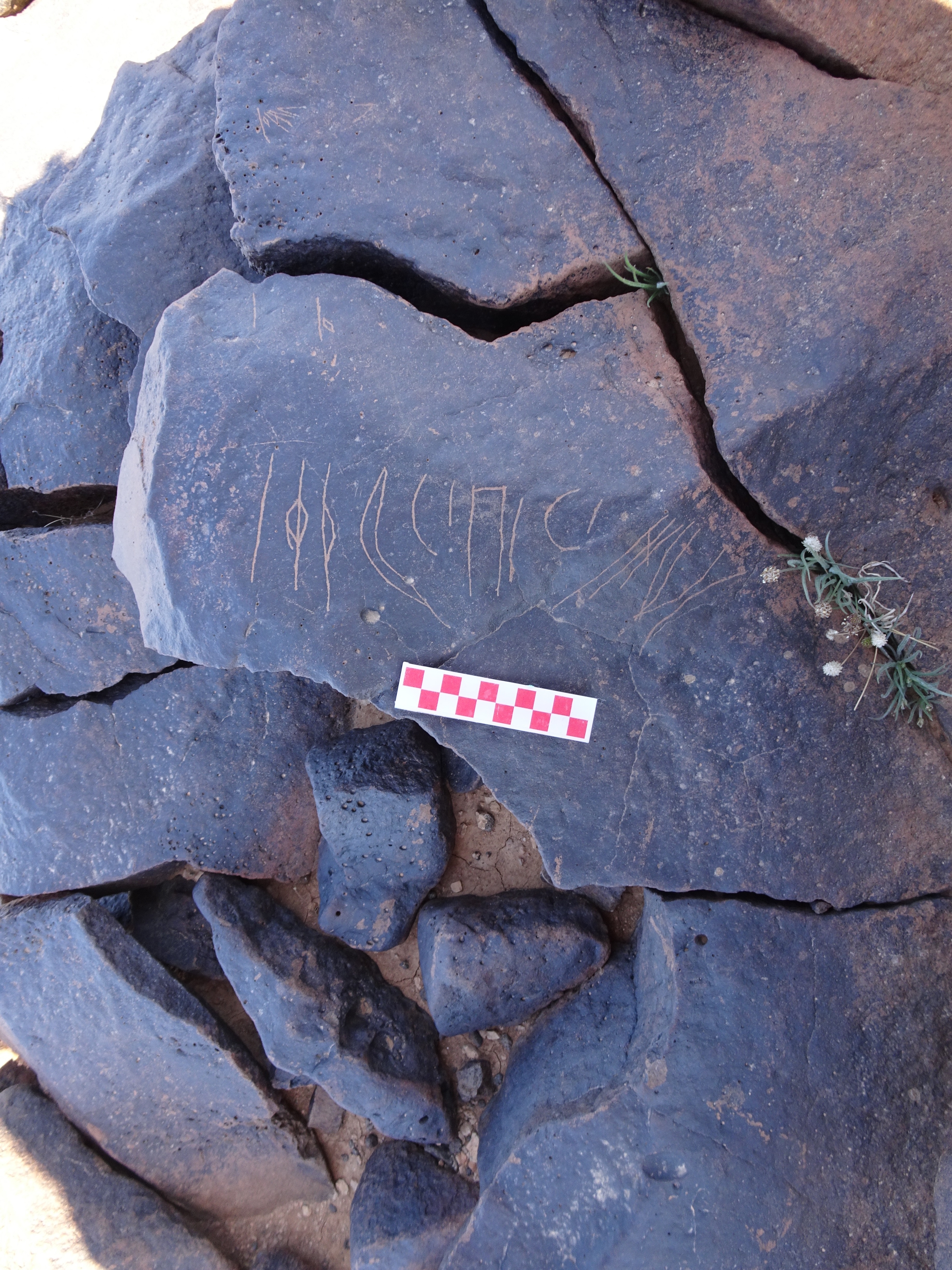 Image of siglum BES20 1417