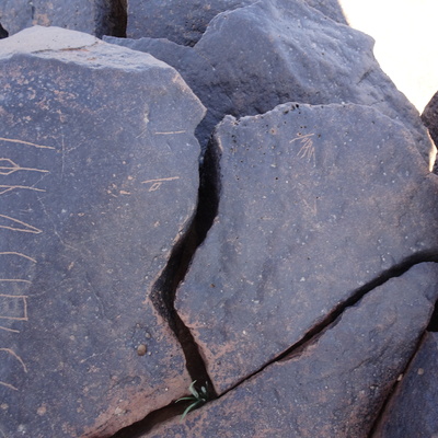 Image of siglum BES20 1418