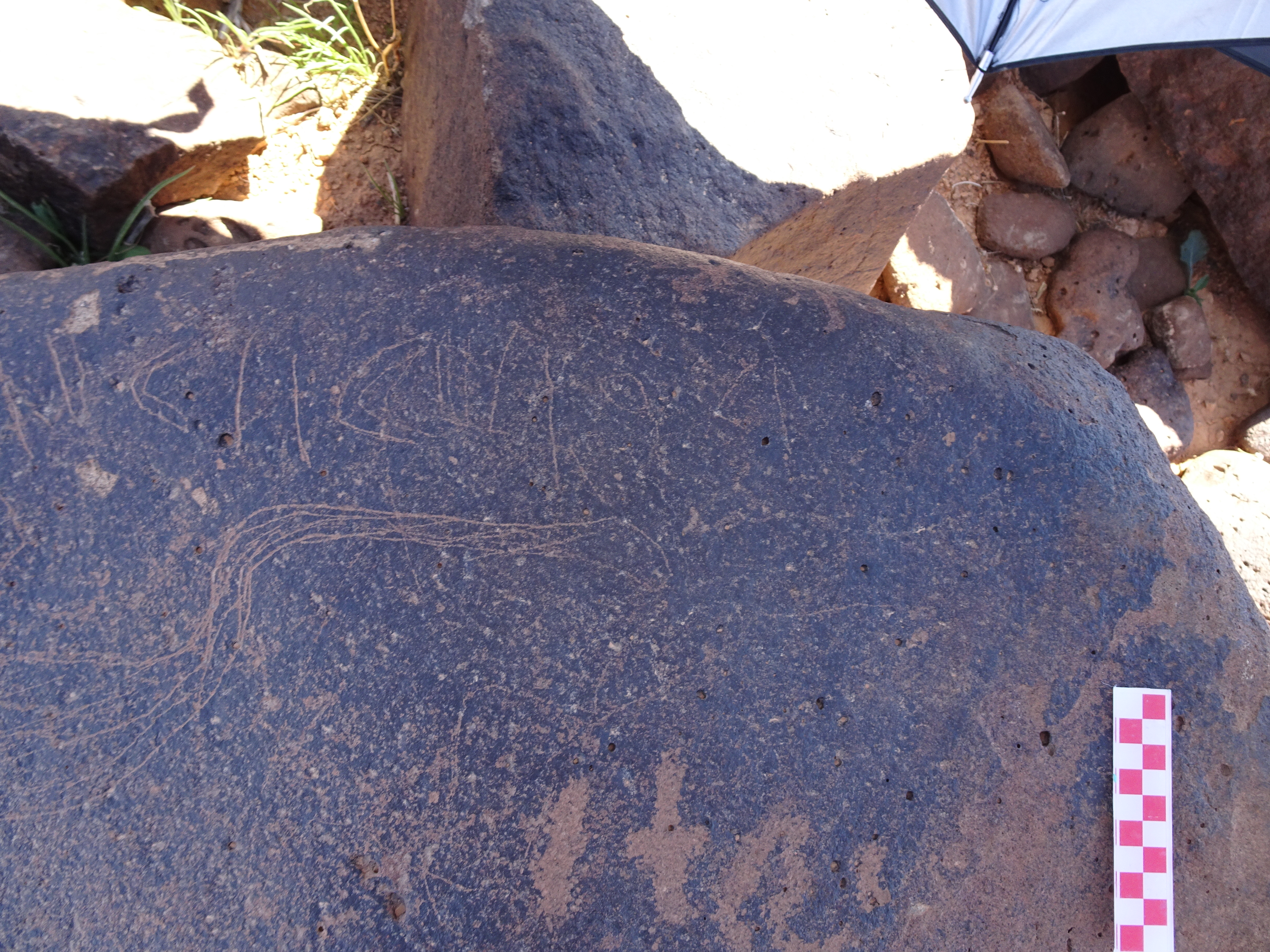 Image of siglum BES20 1421