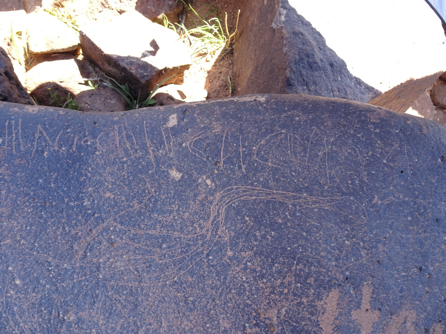 Image of siglum BES20 1421