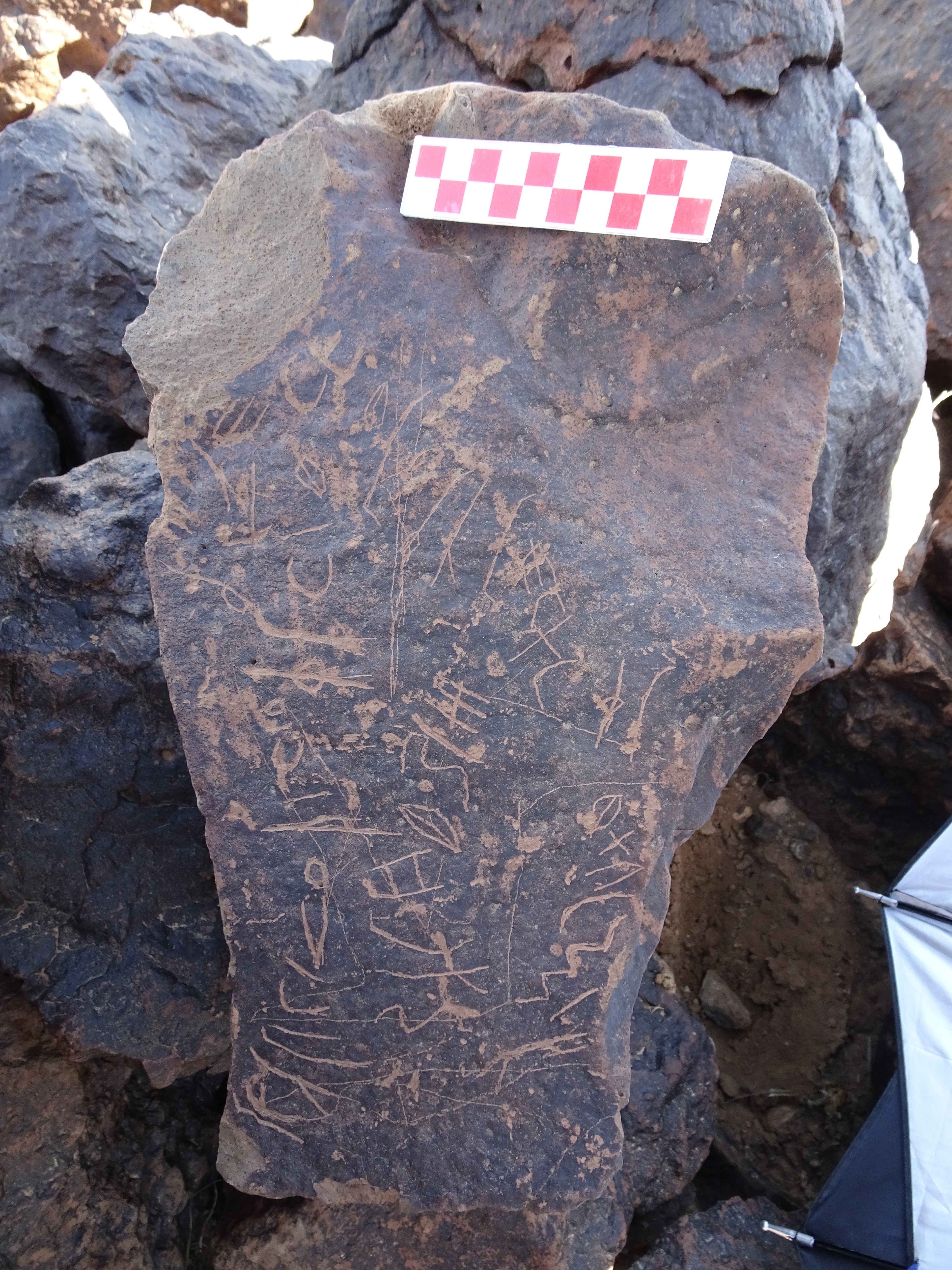 Image of siglum BES20 1425