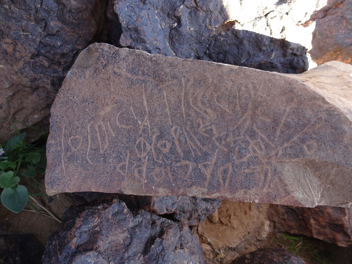 Image of siglum BES20 1426