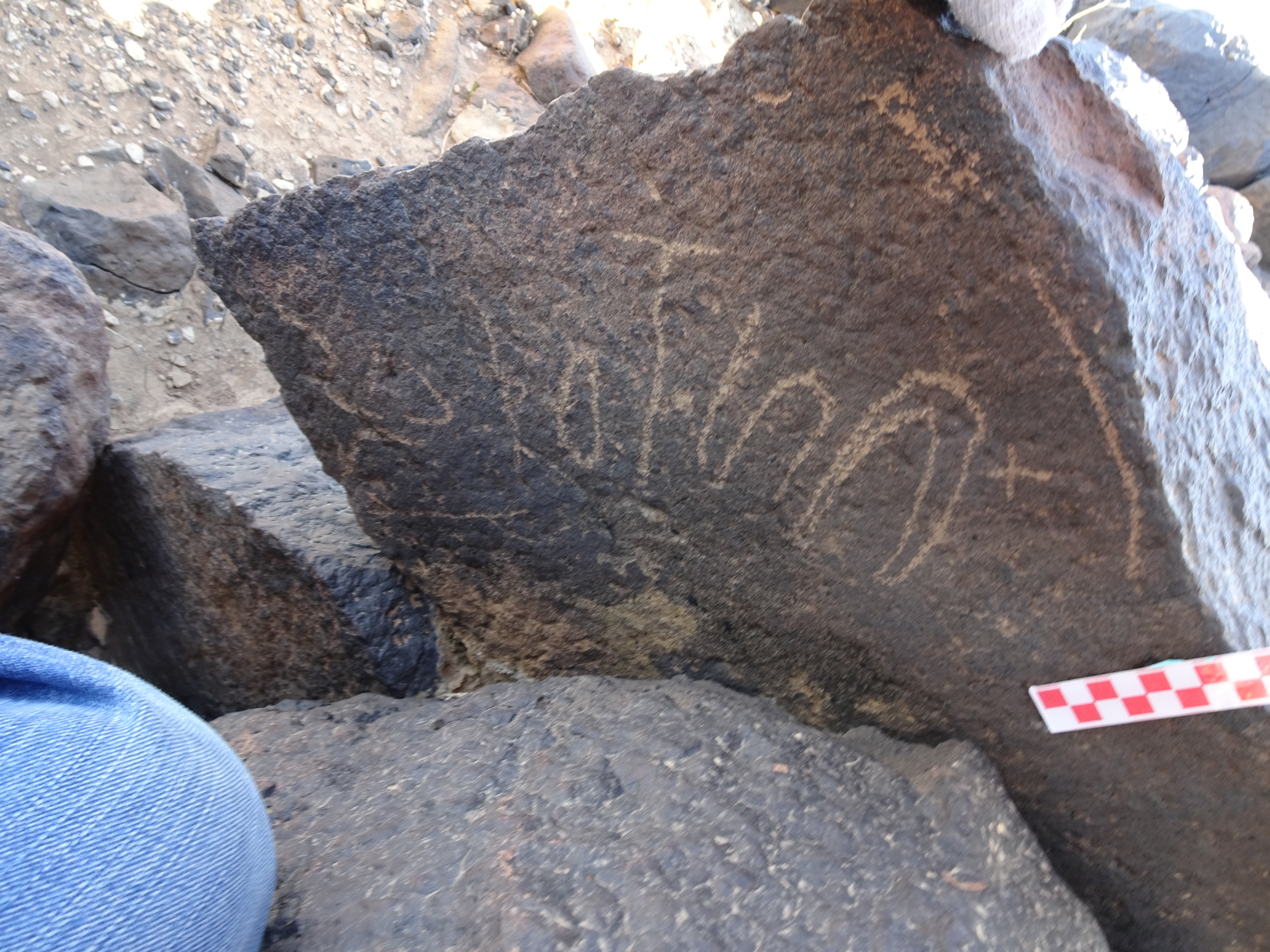 Image of siglum BES20 1427