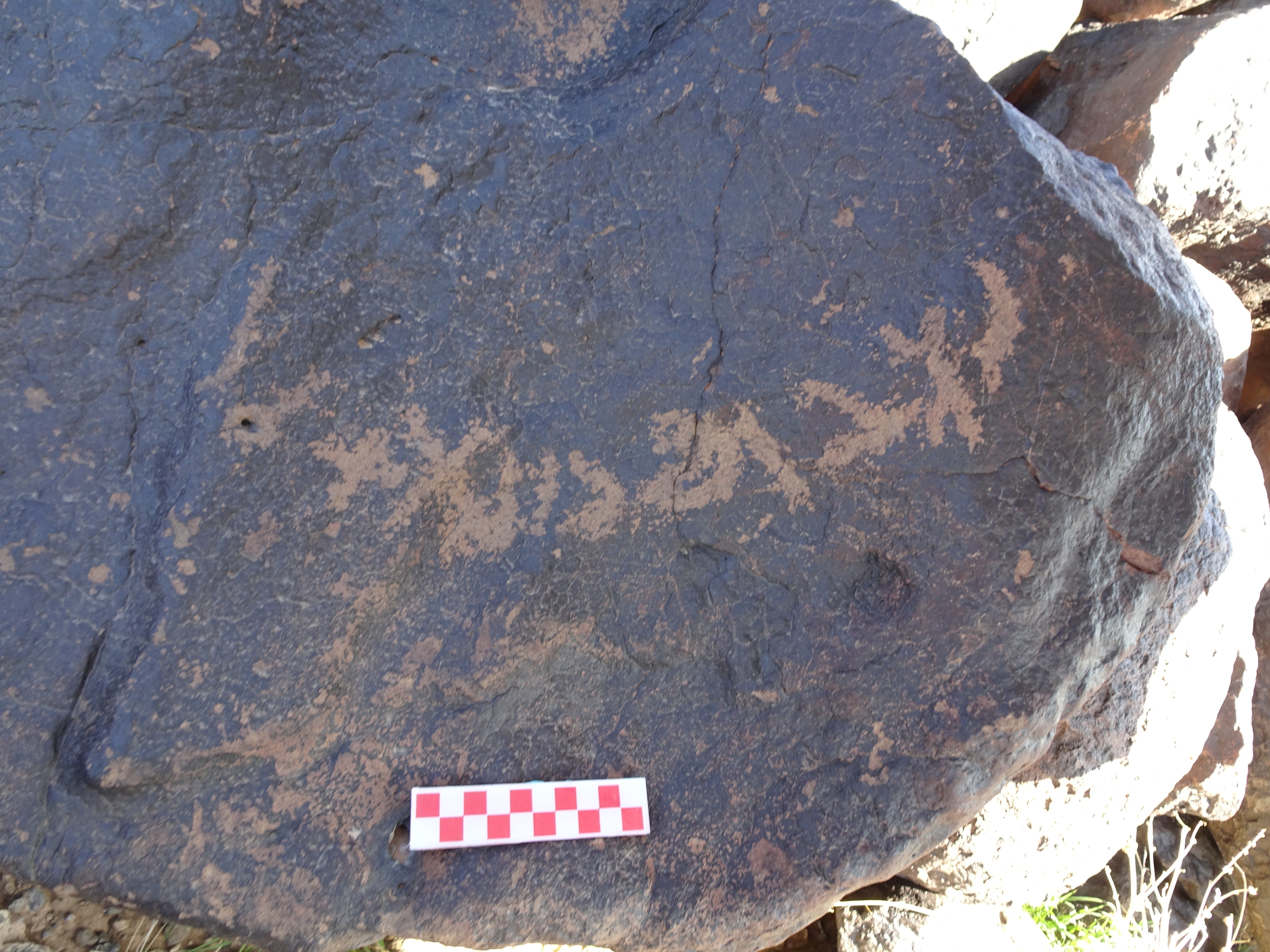 Image of siglum BES20 1428