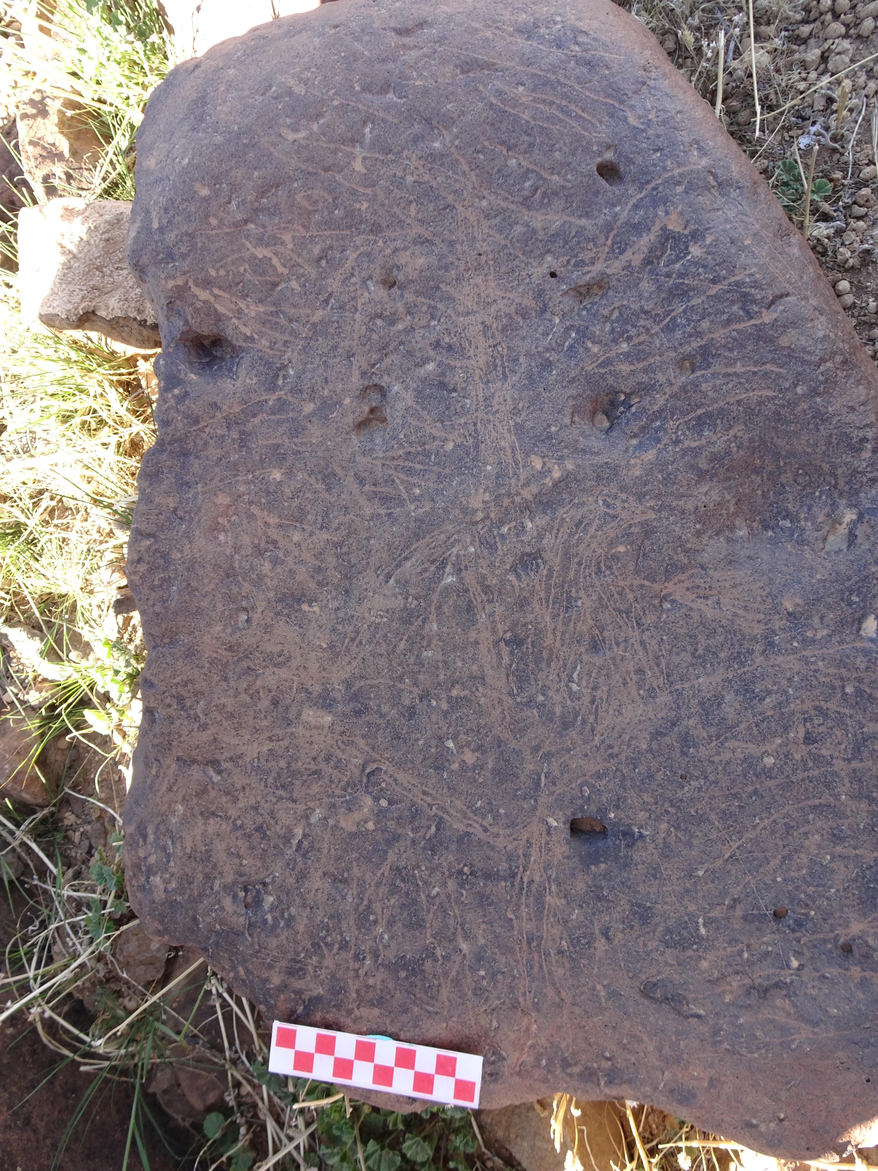 Image of siglum BES20 1429