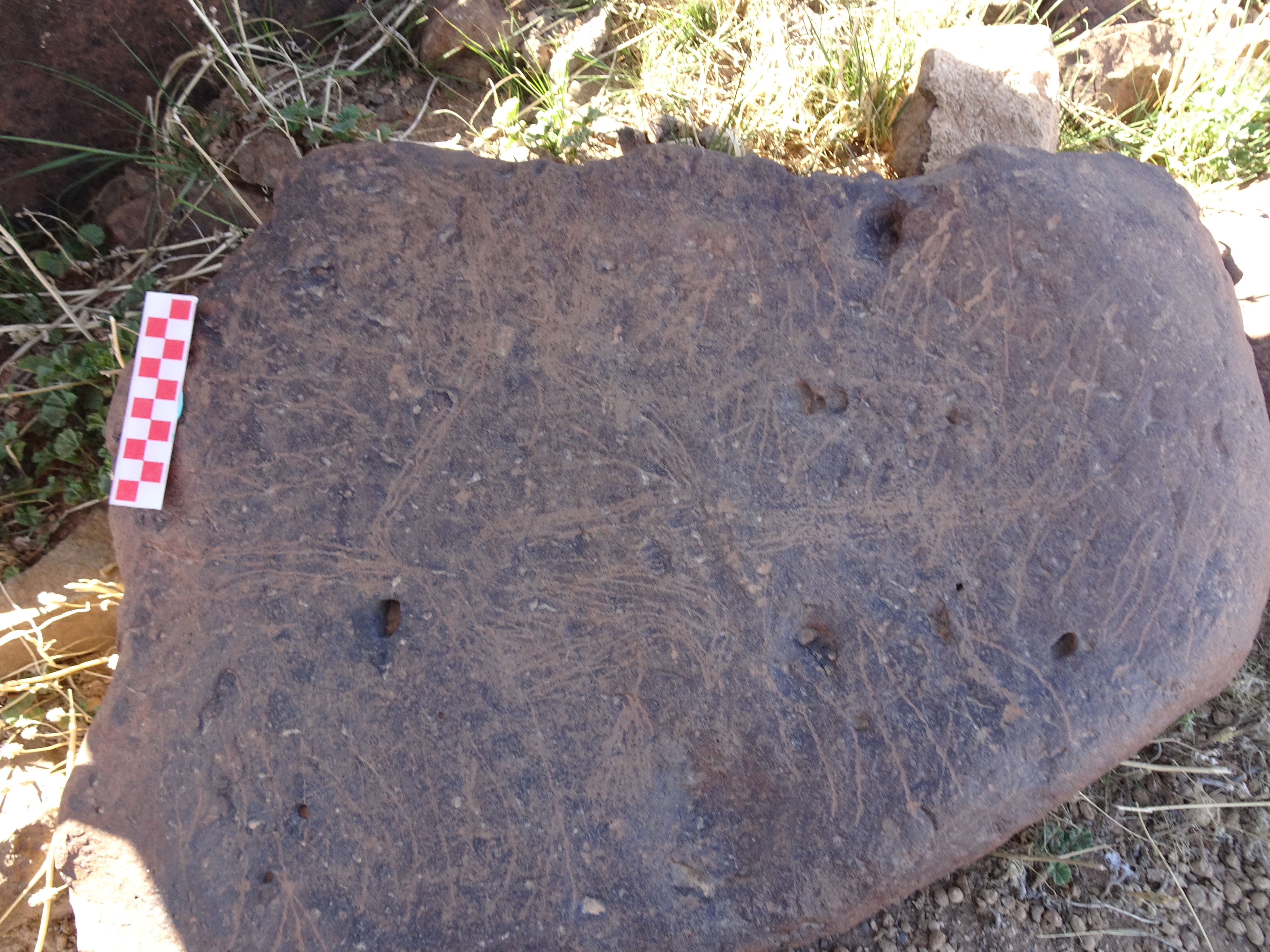 Image of siglum BES20 1429