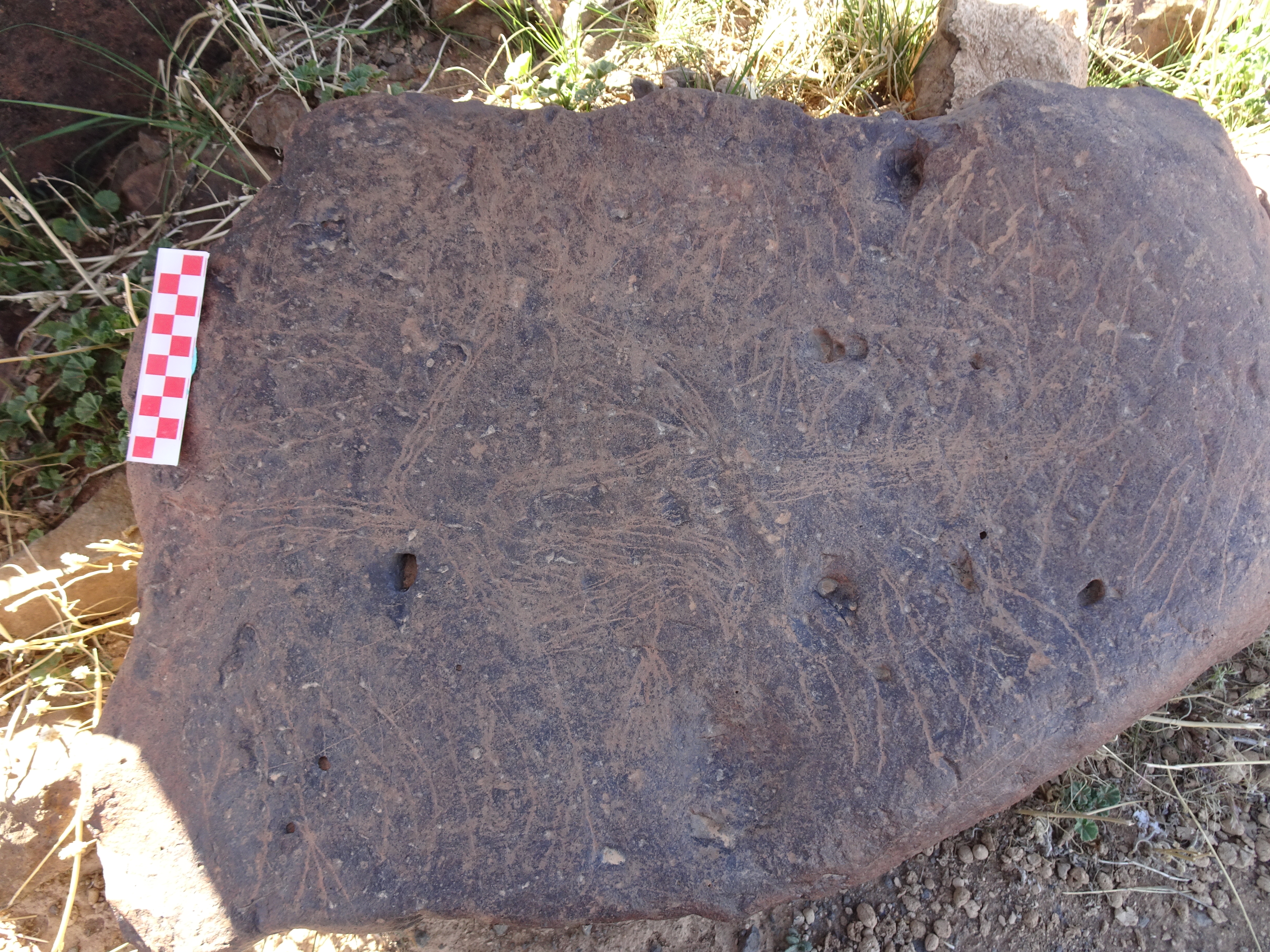 Image of siglum BES20 1429