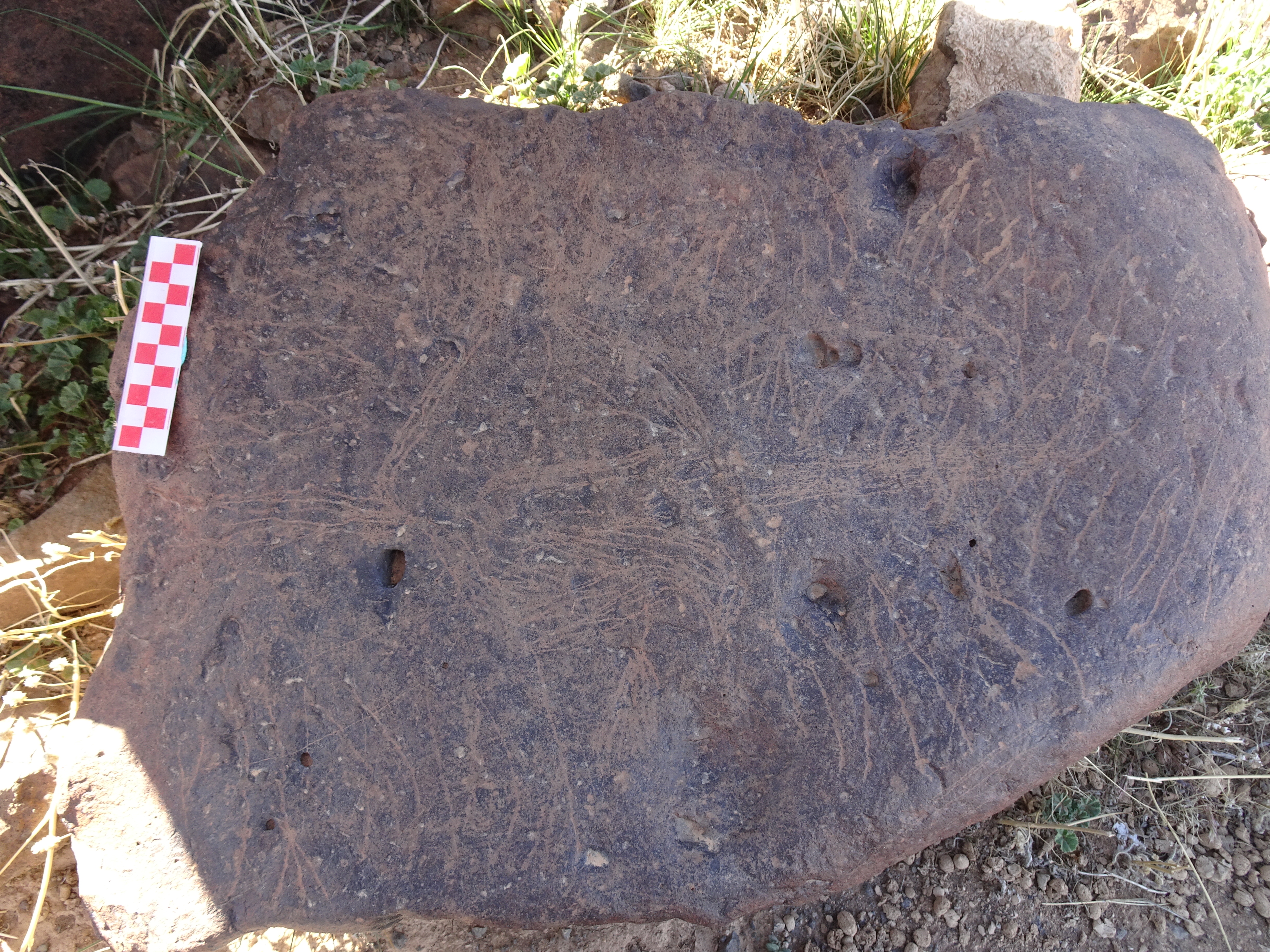 Image of siglum BES20 1429