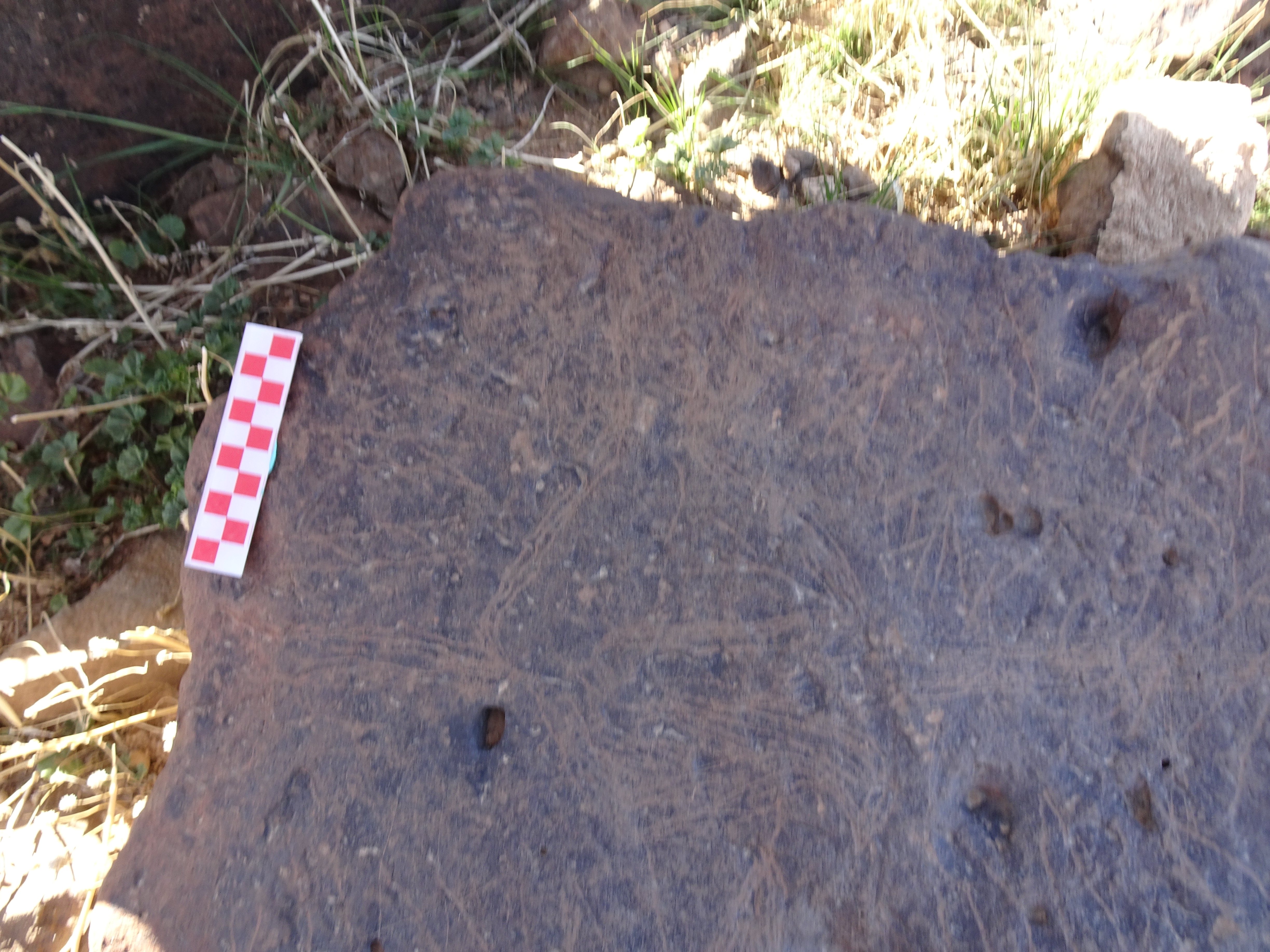 Image of siglum BES20 1429