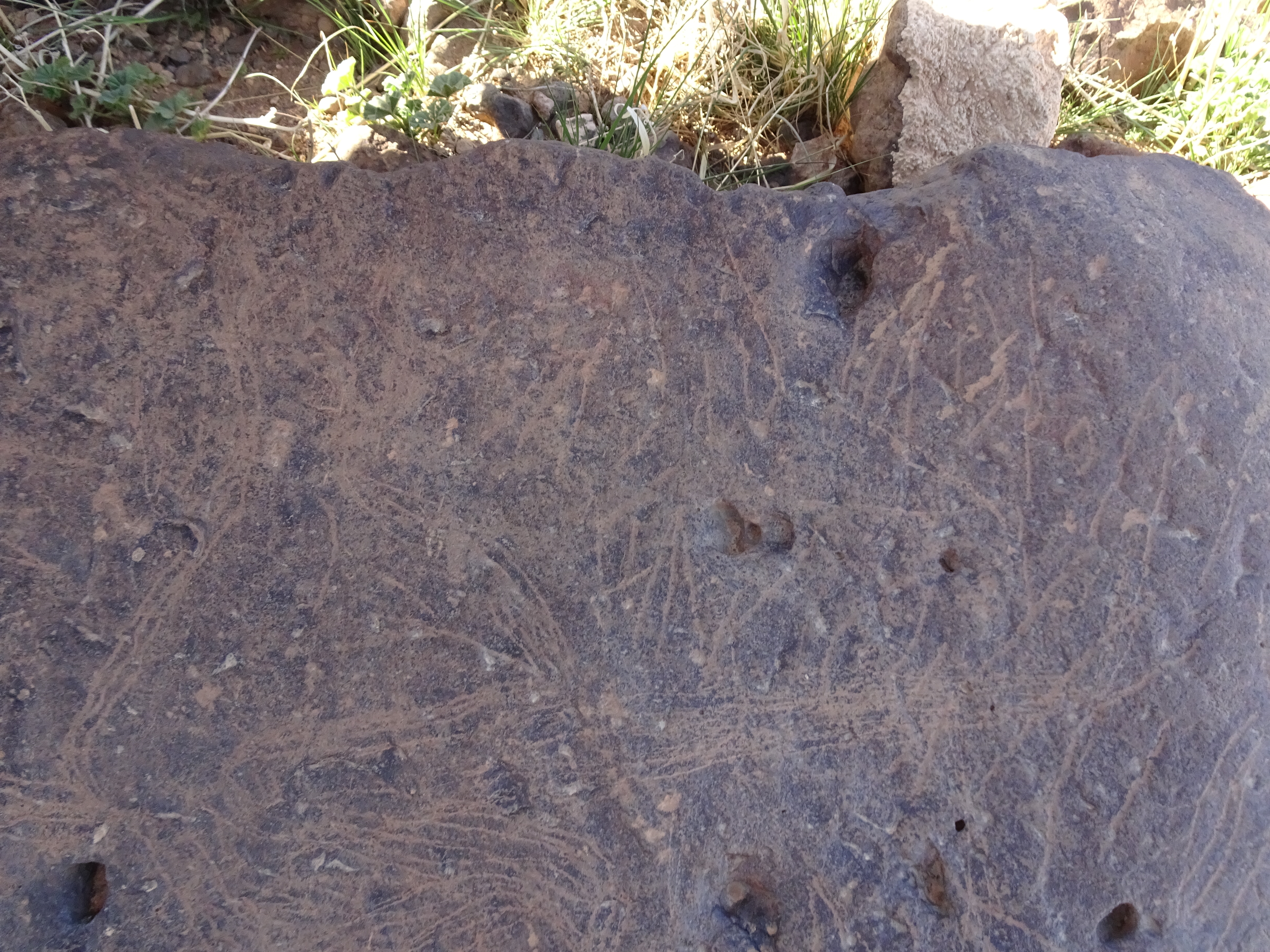 Image of siglum BES20 1429