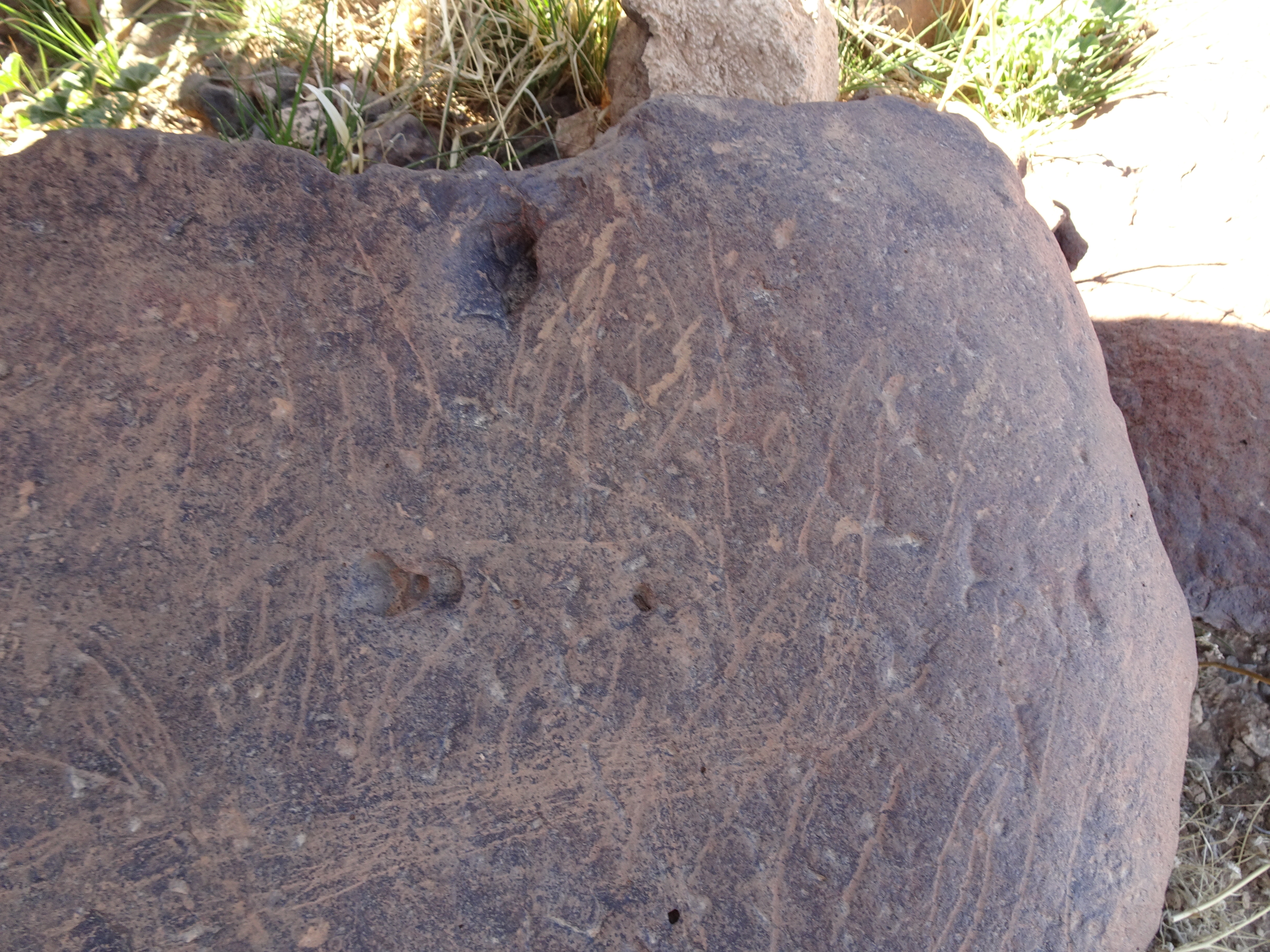 Image of siglum BES20 1429