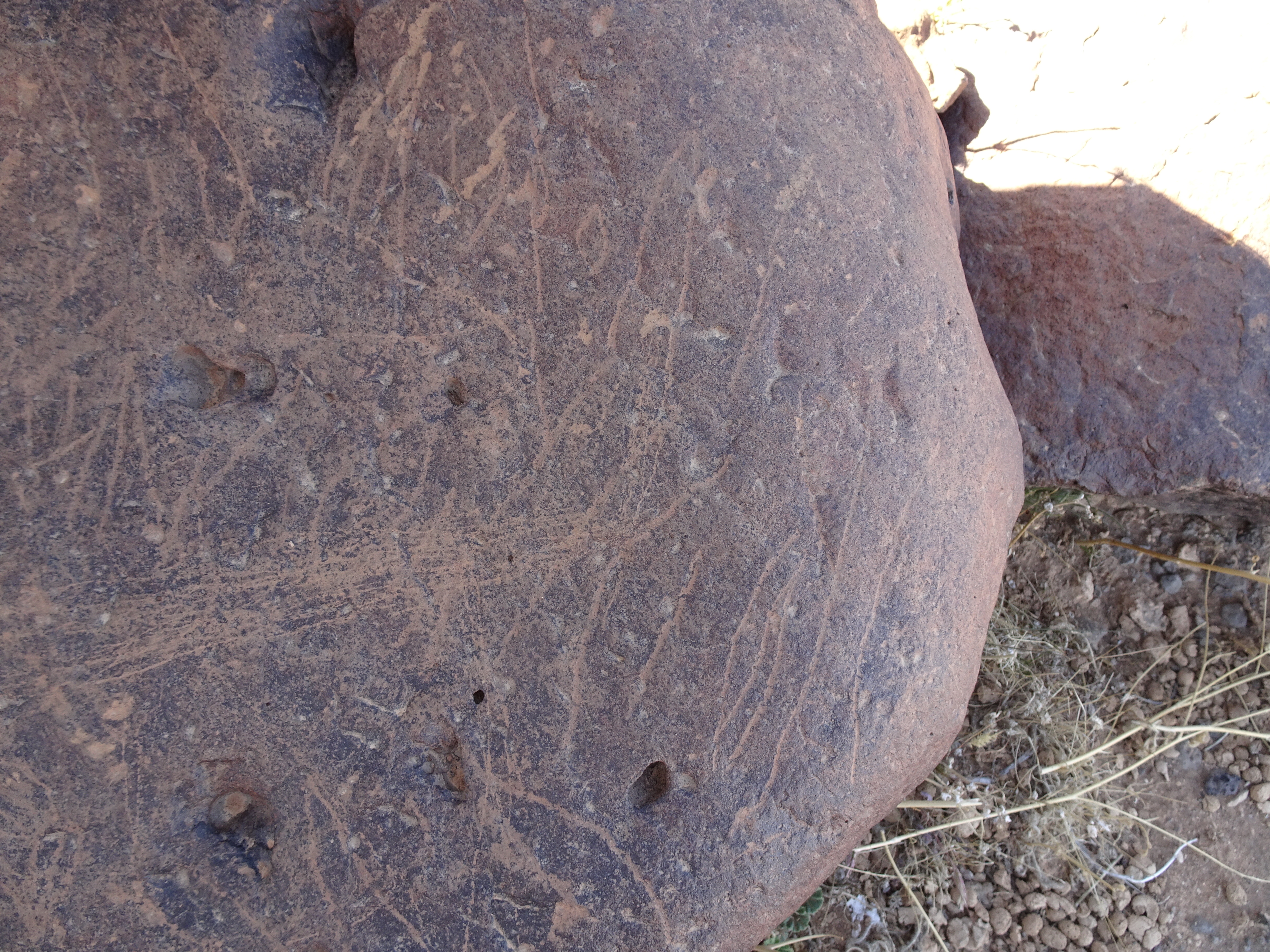 Image of siglum BES20 1429