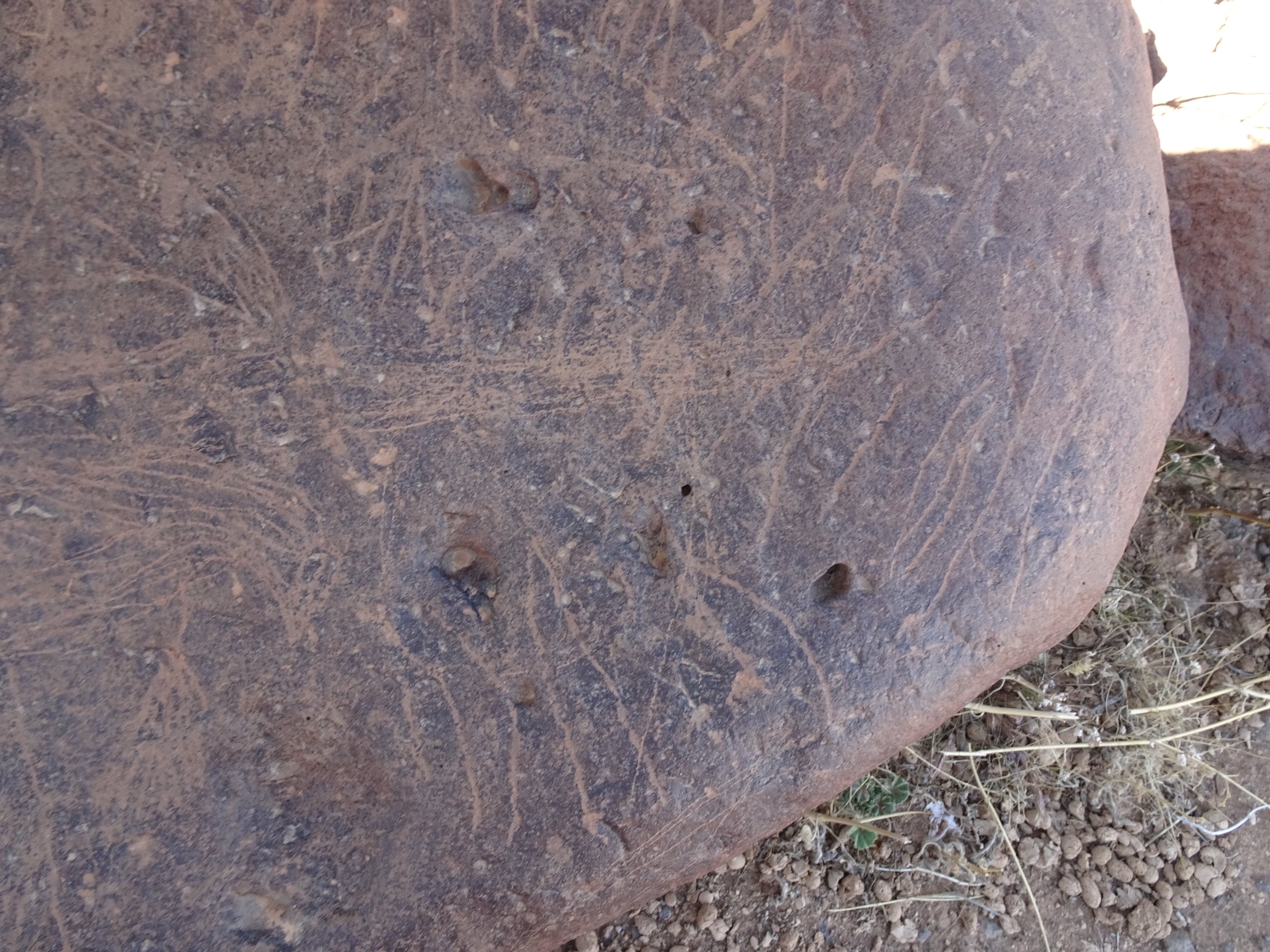 Image of siglum BES20 1429