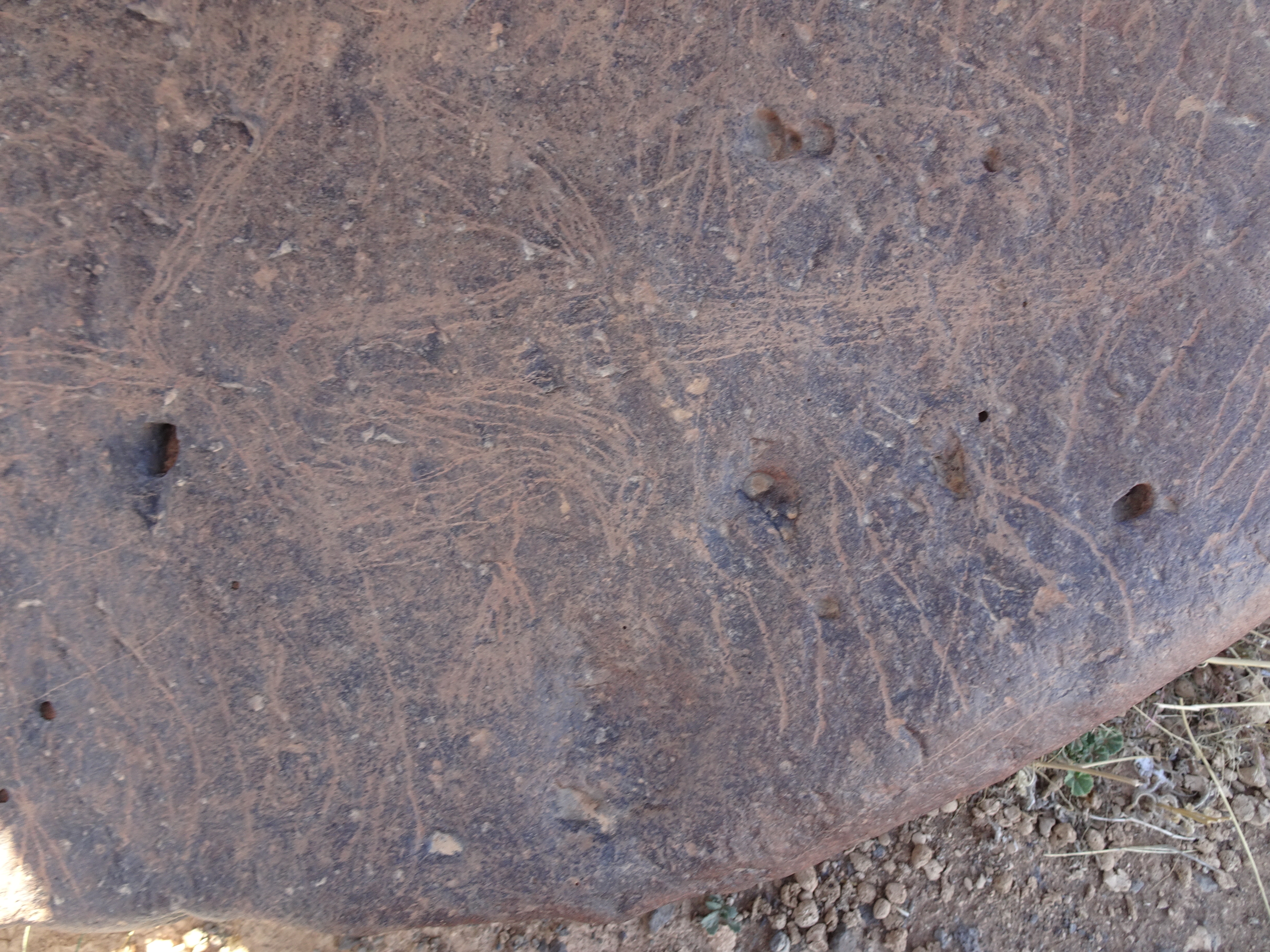 Image of siglum BES20 1429