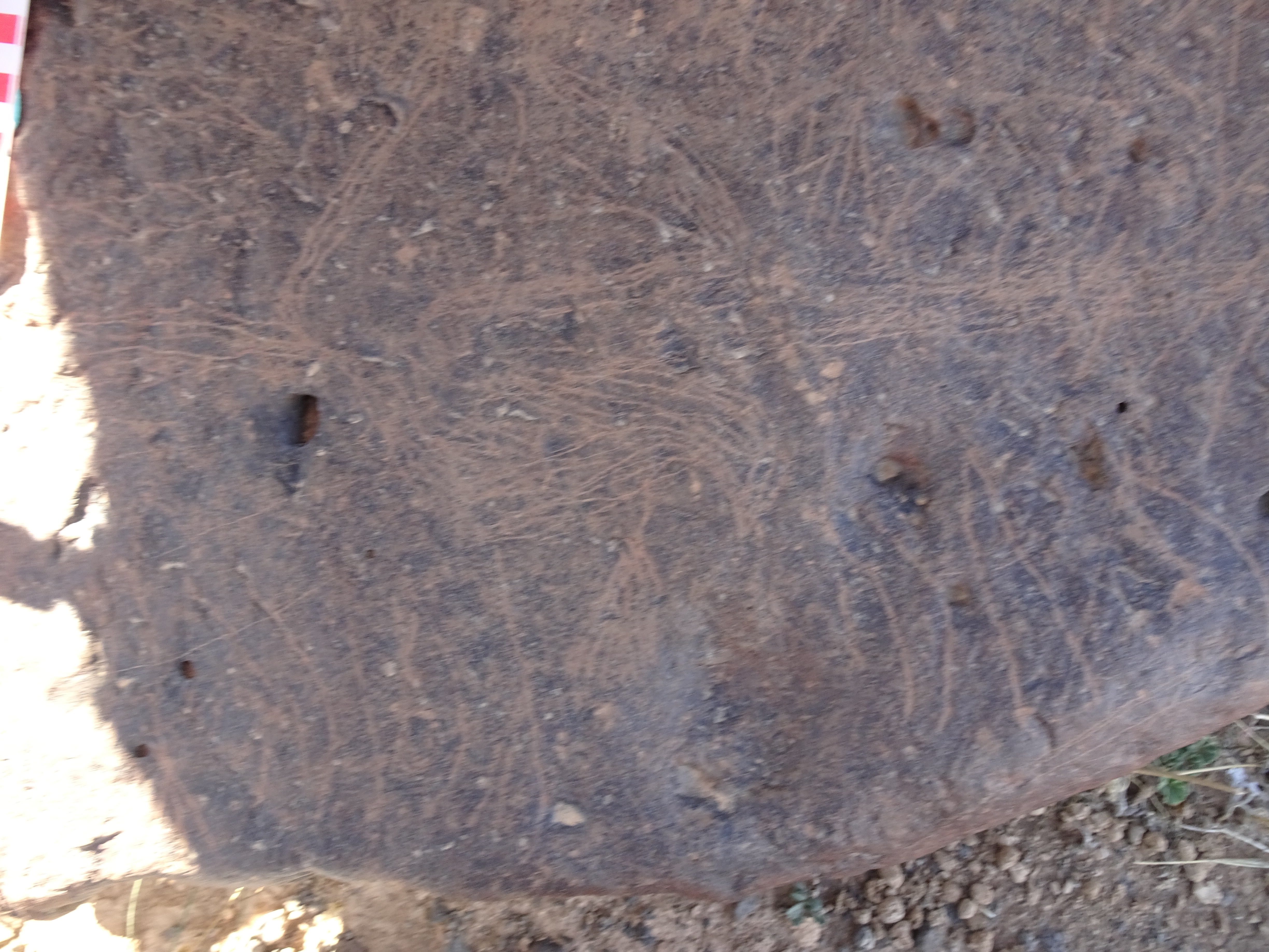 Image of siglum BES20 1429