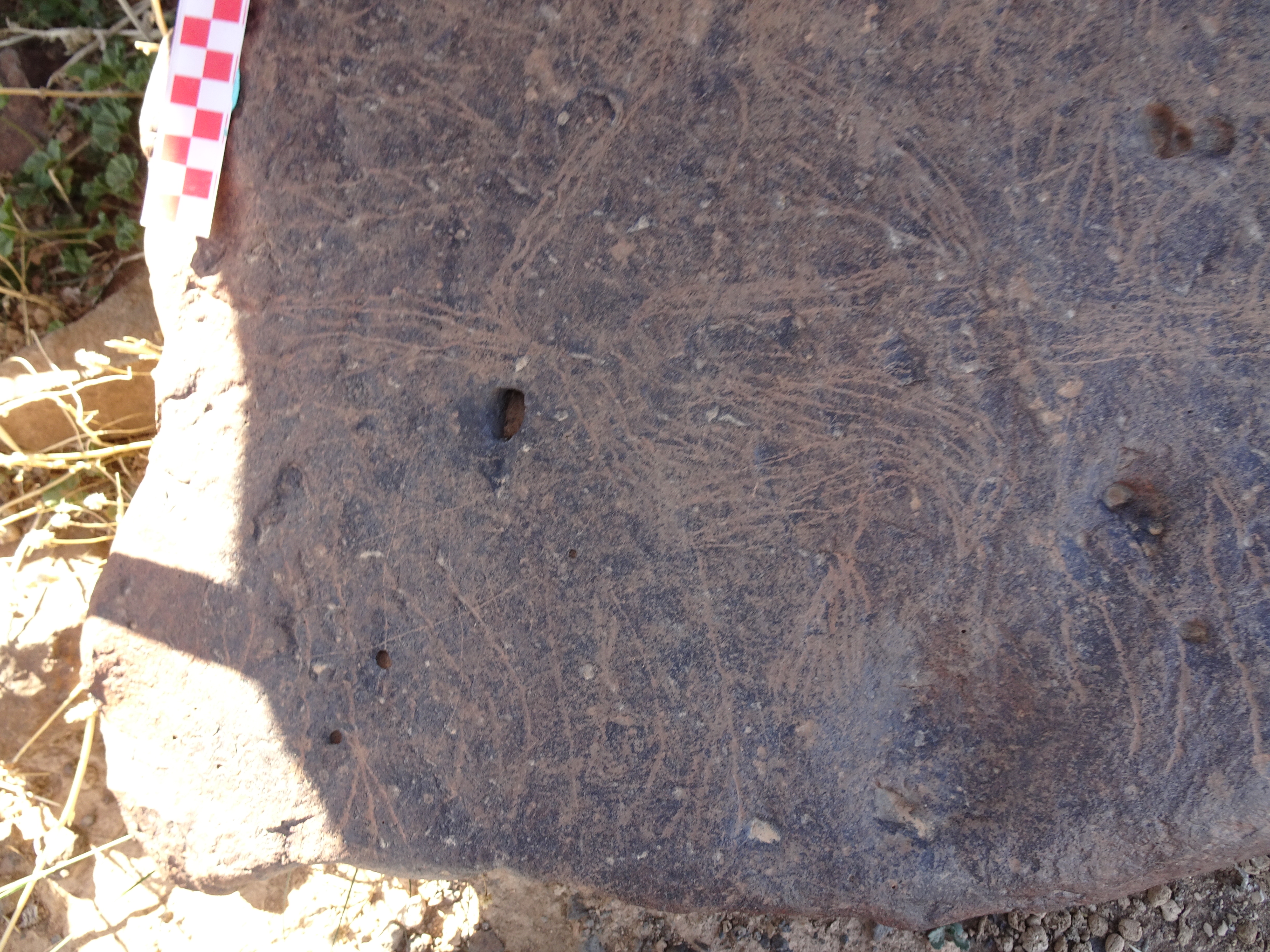 Image of siglum BES20 1429