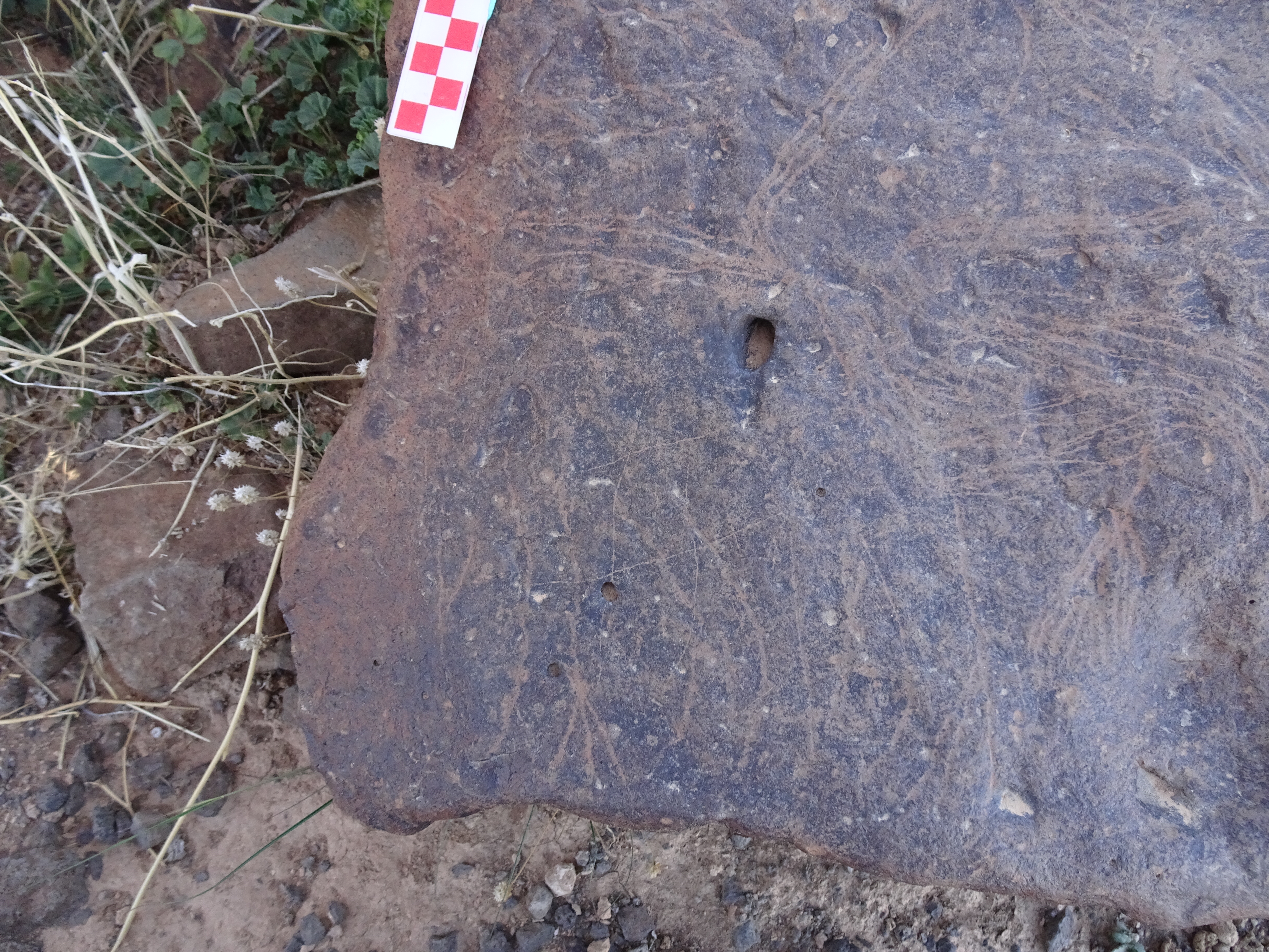 Image of siglum BES20 1429