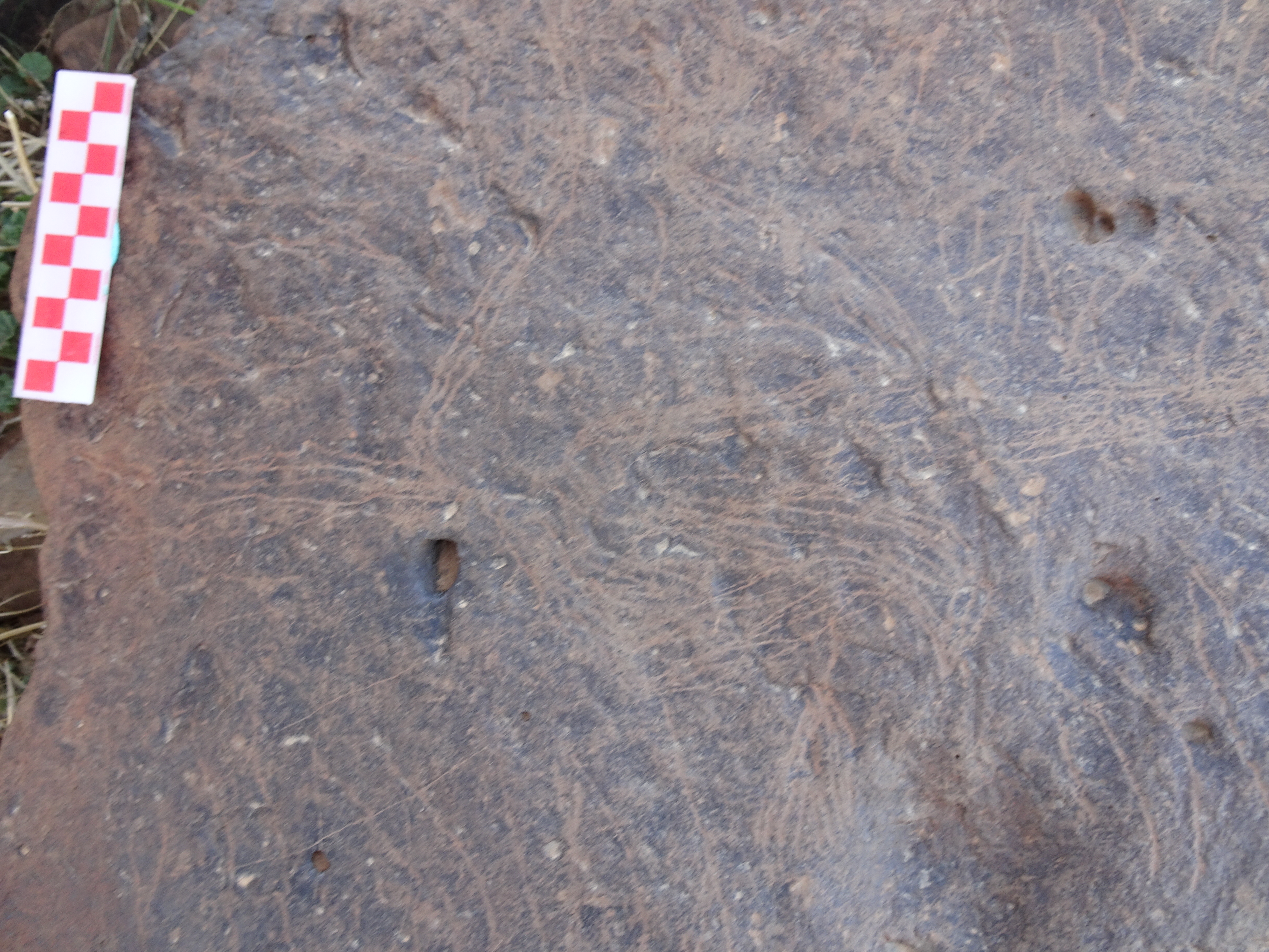 Image of siglum BES20 1429