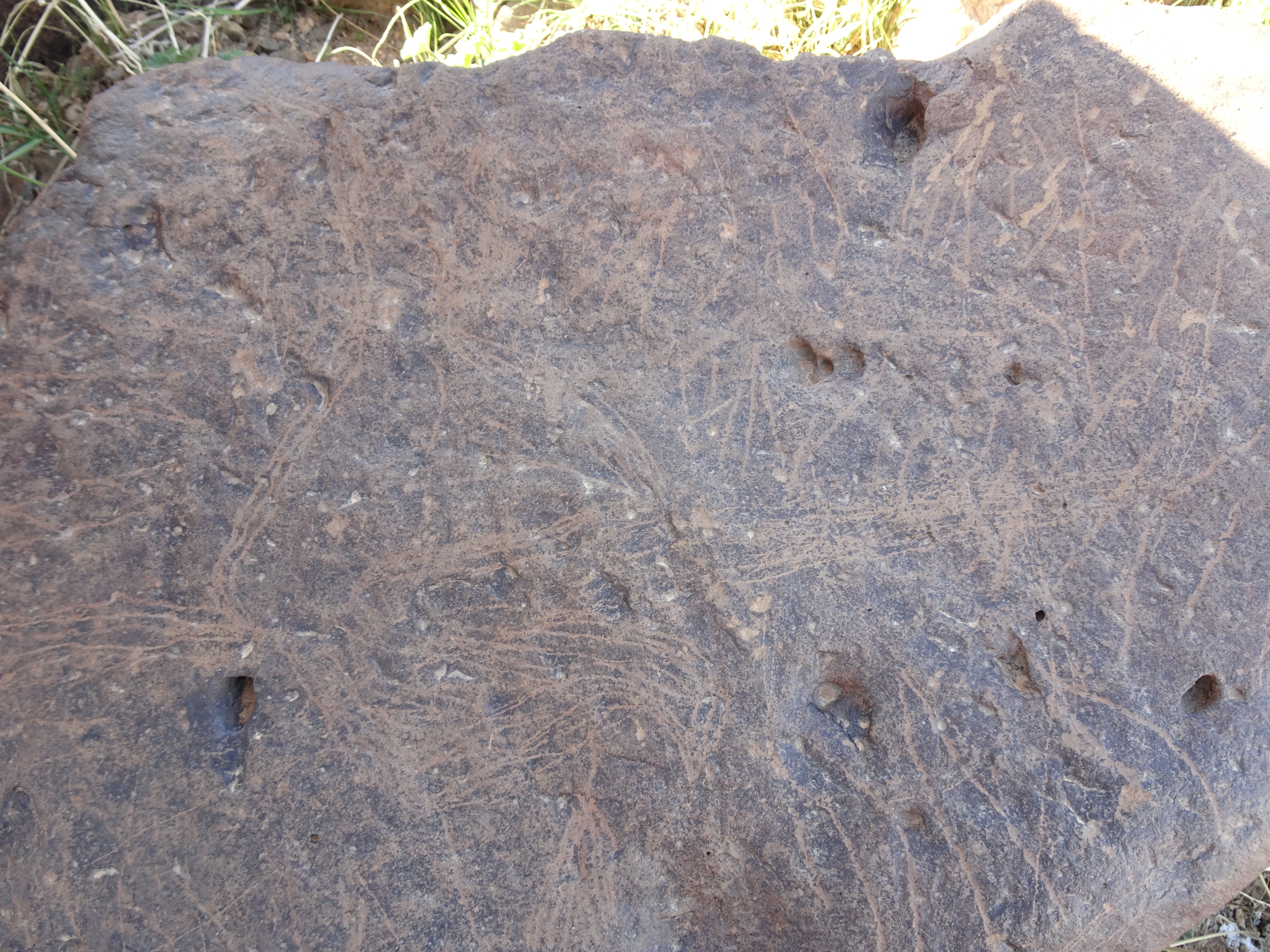 Image of siglum BES20 1429