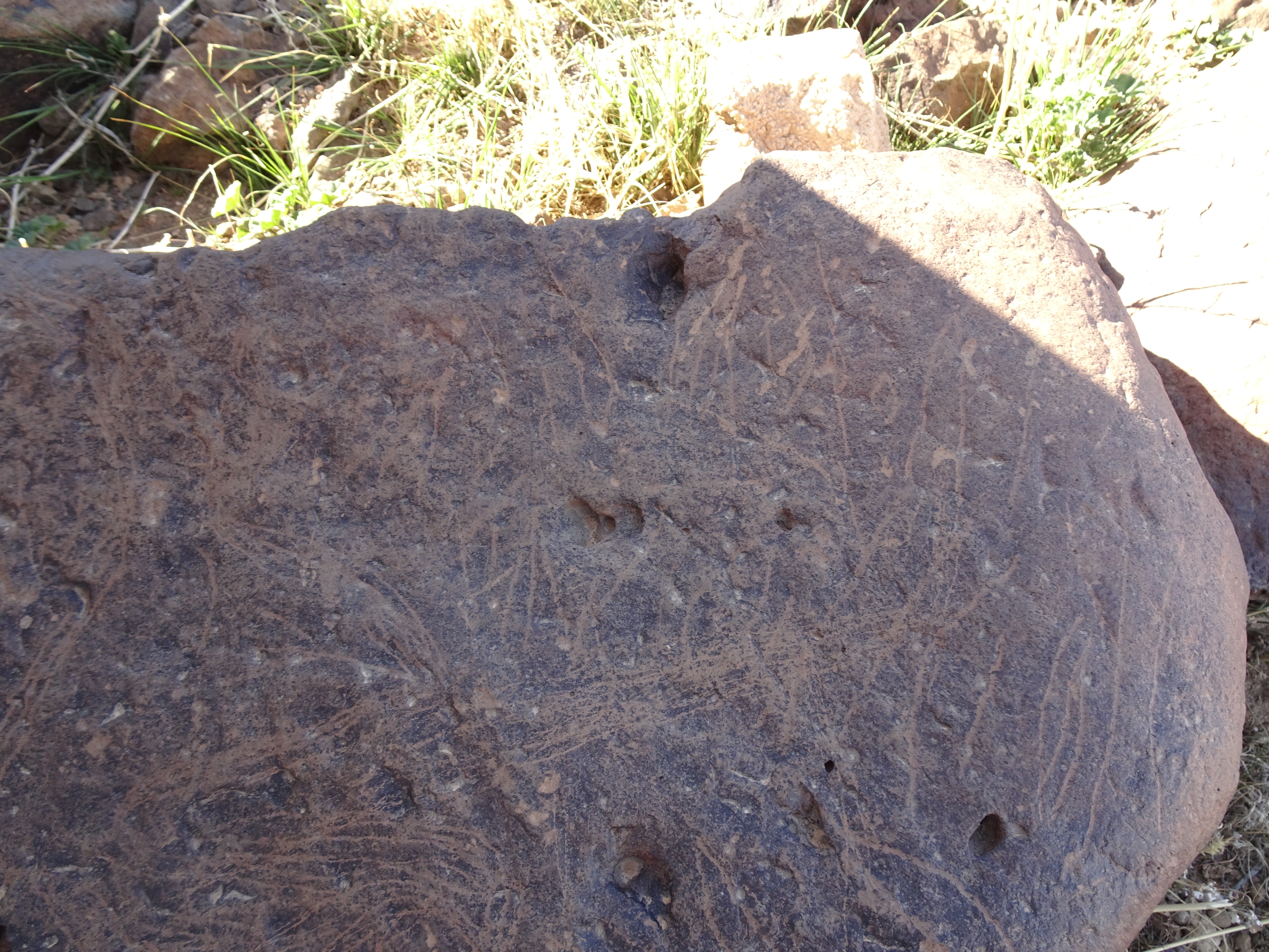 Image of siglum BES20 1429