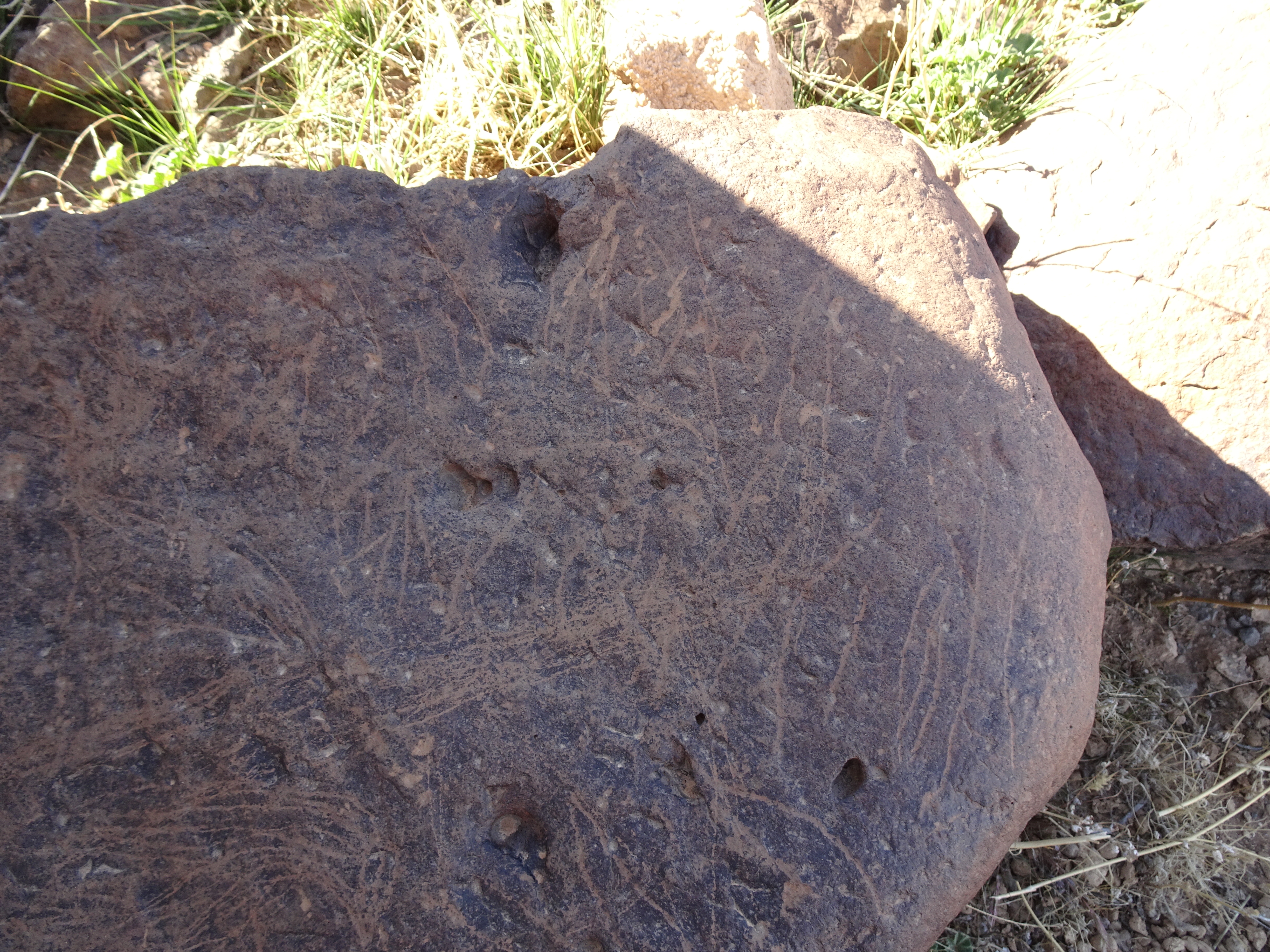 Image of siglum BES20 1429