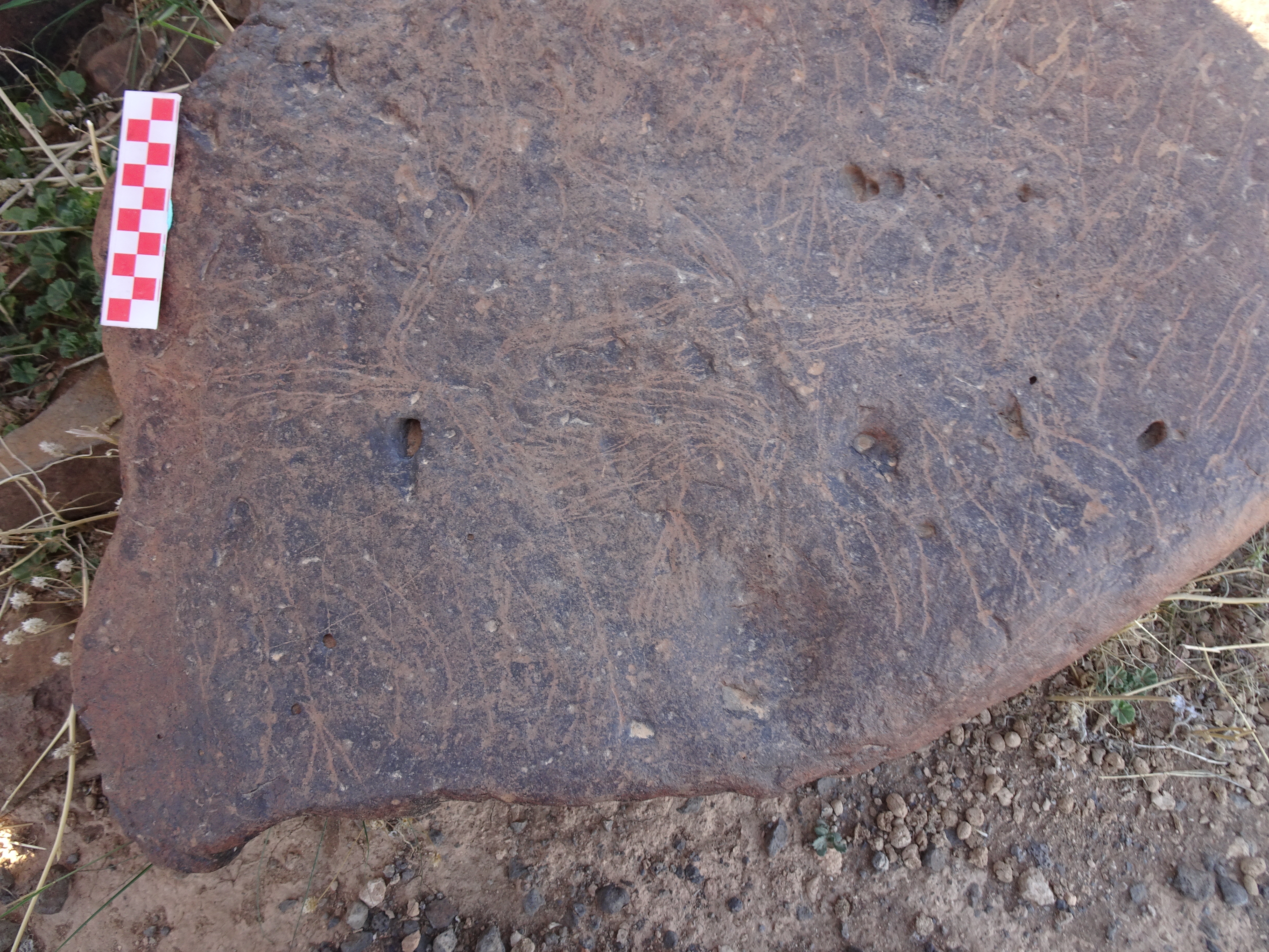 Image of siglum BES20 1429