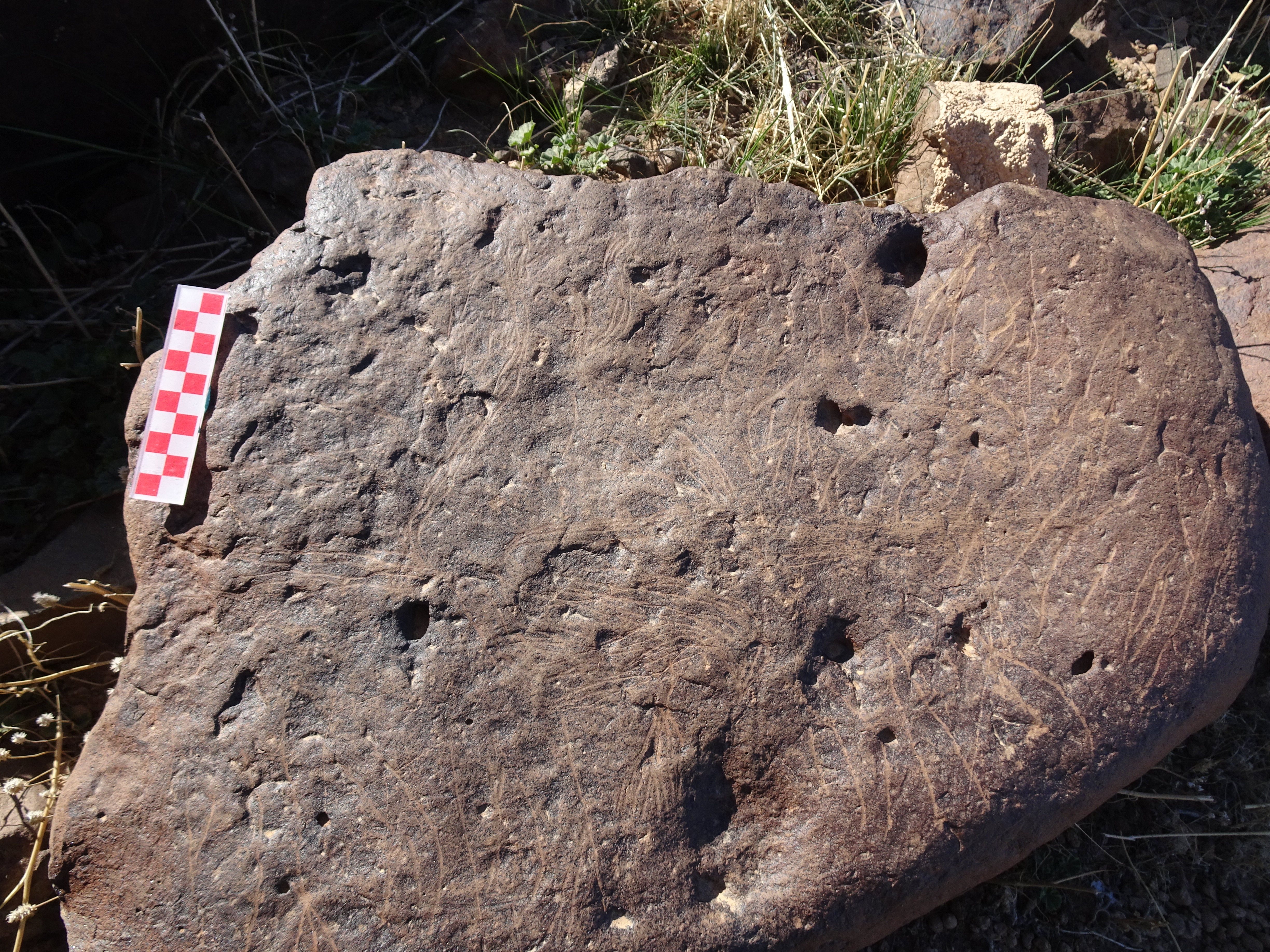 Image of siglum BES20 1429