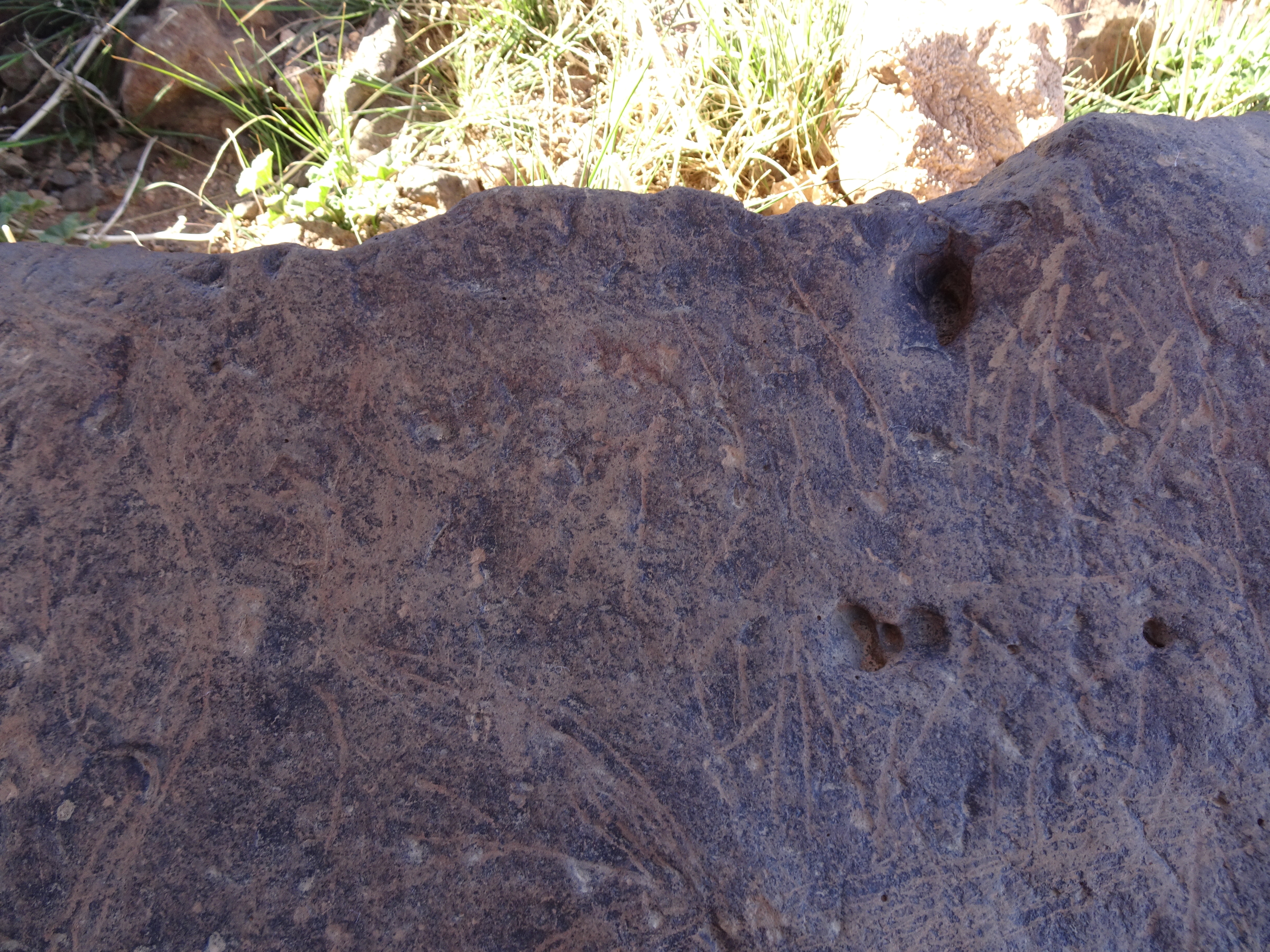 Image of siglum BES20 1429