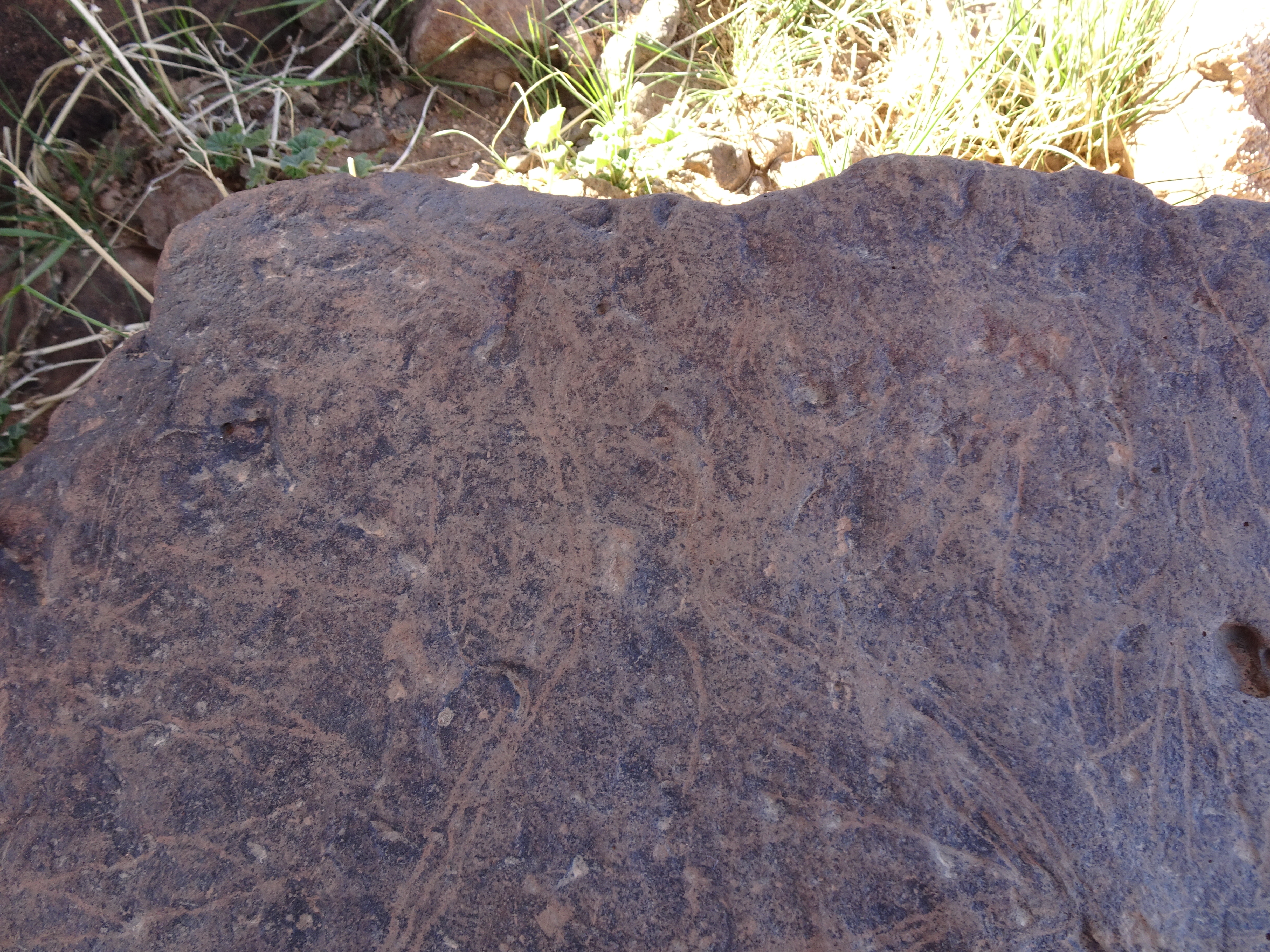 Image of siglum BES20 1429