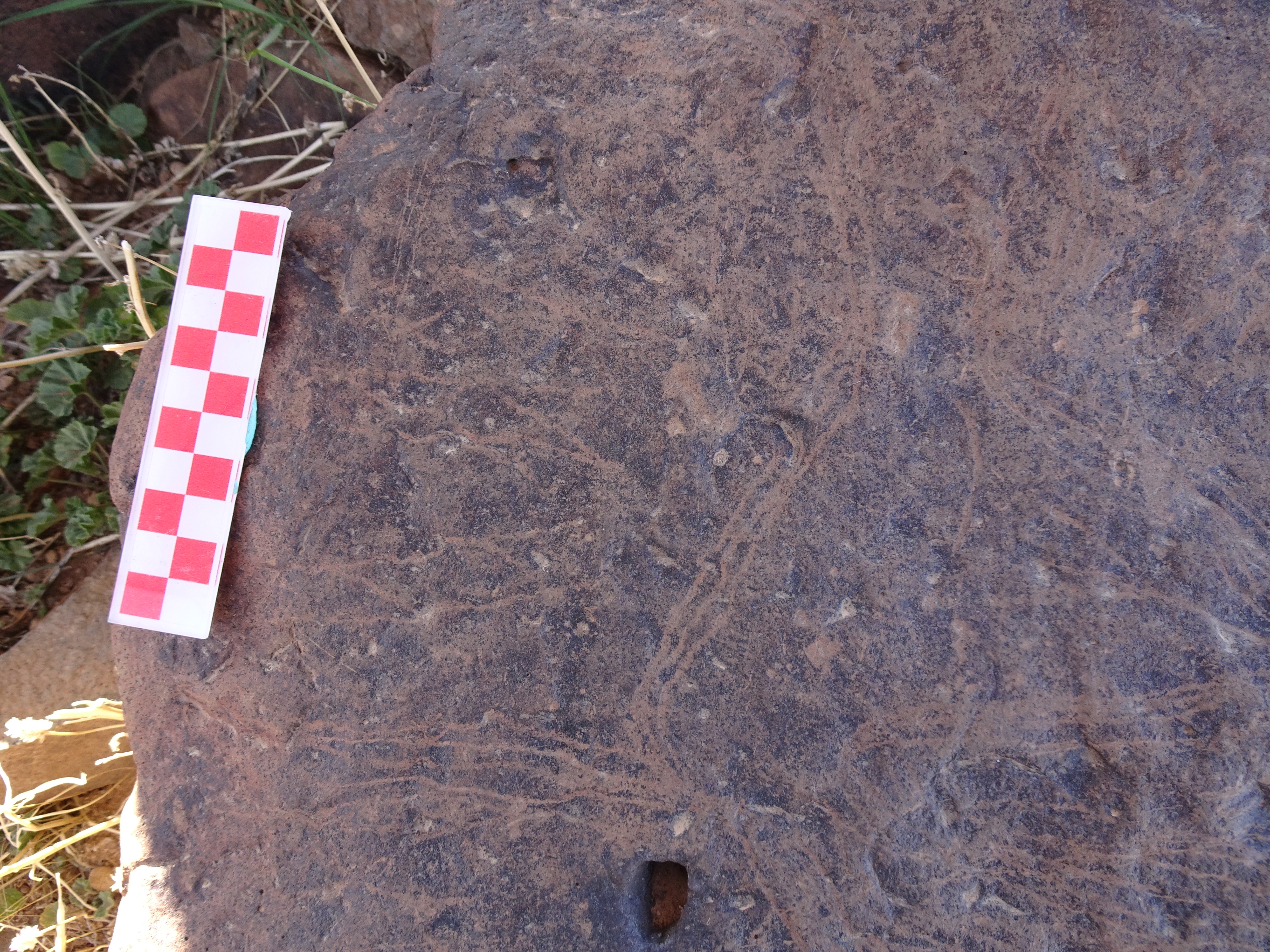 Image of siglum BES20 1429