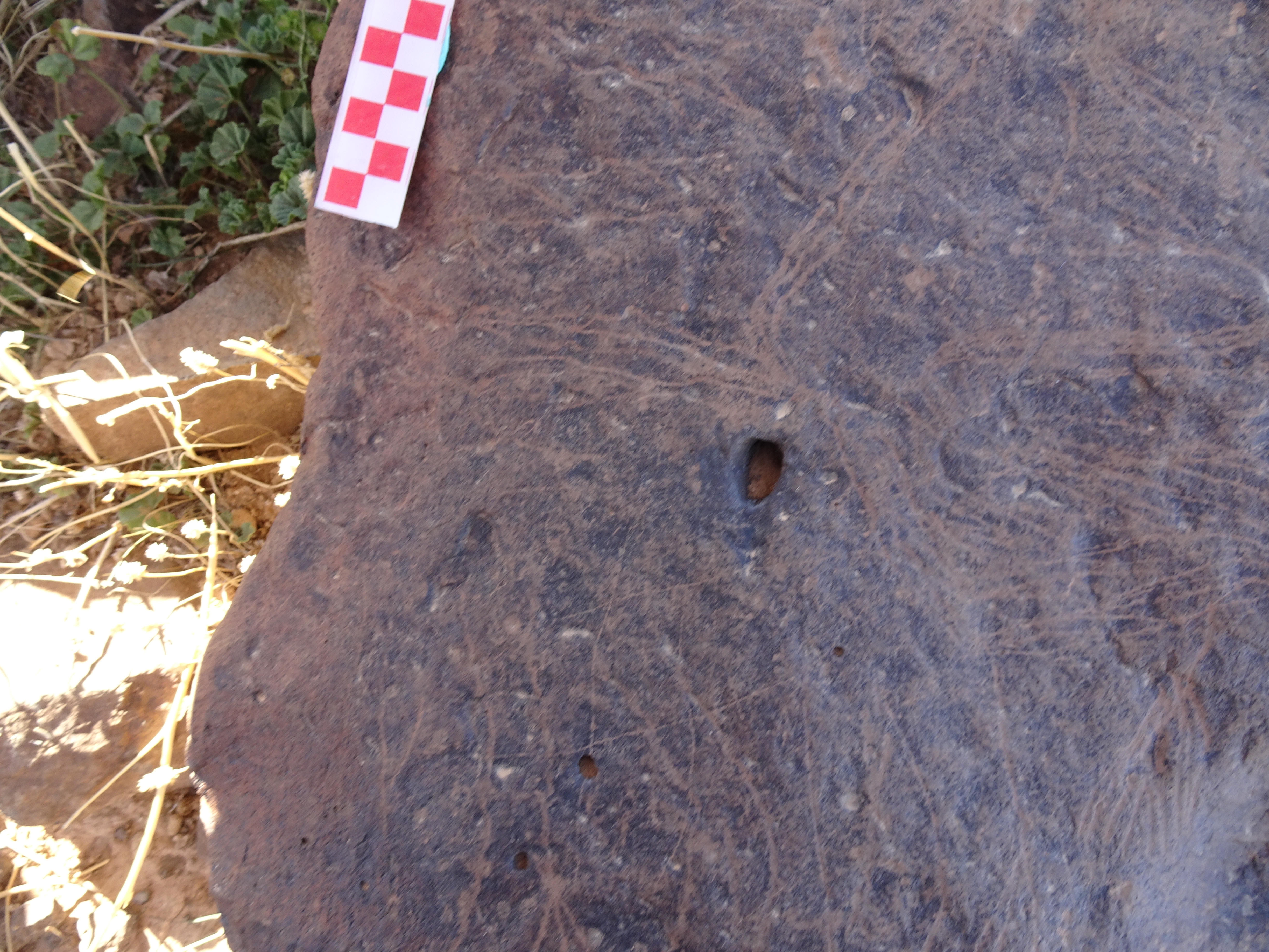 Image of siglum BES20 1429