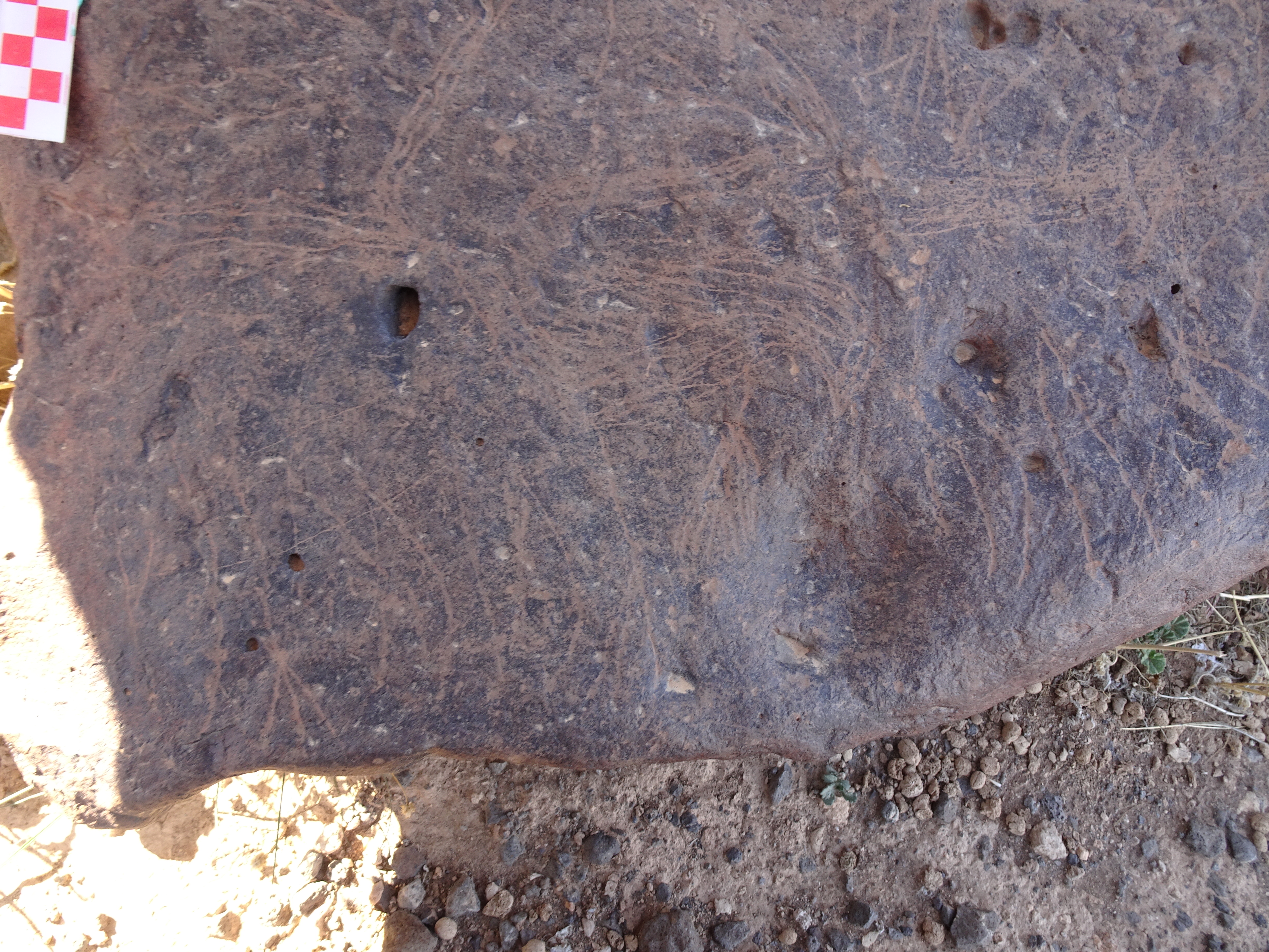 Image of siglum BES20 1429