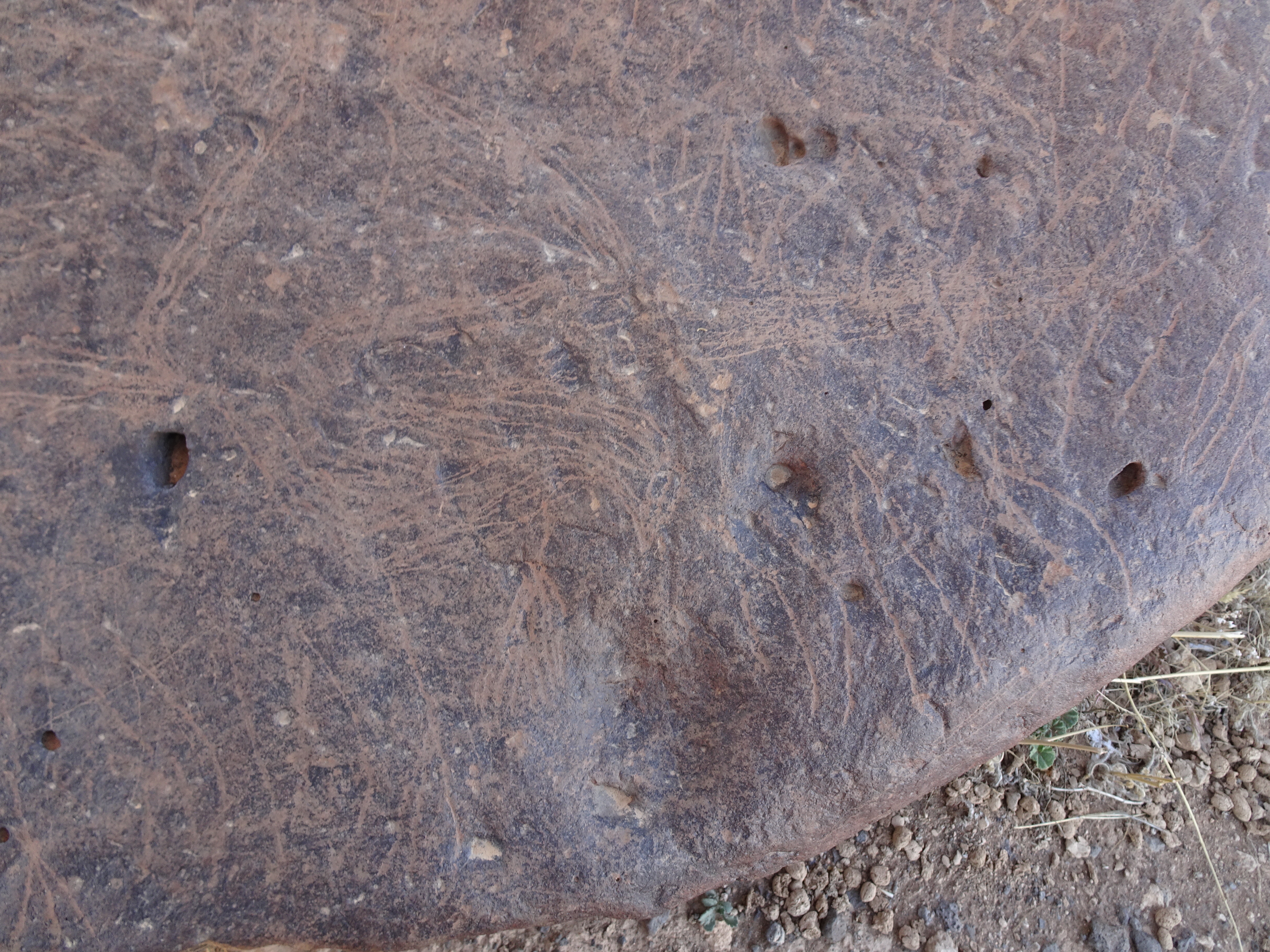 Image of siglum BES20 1429