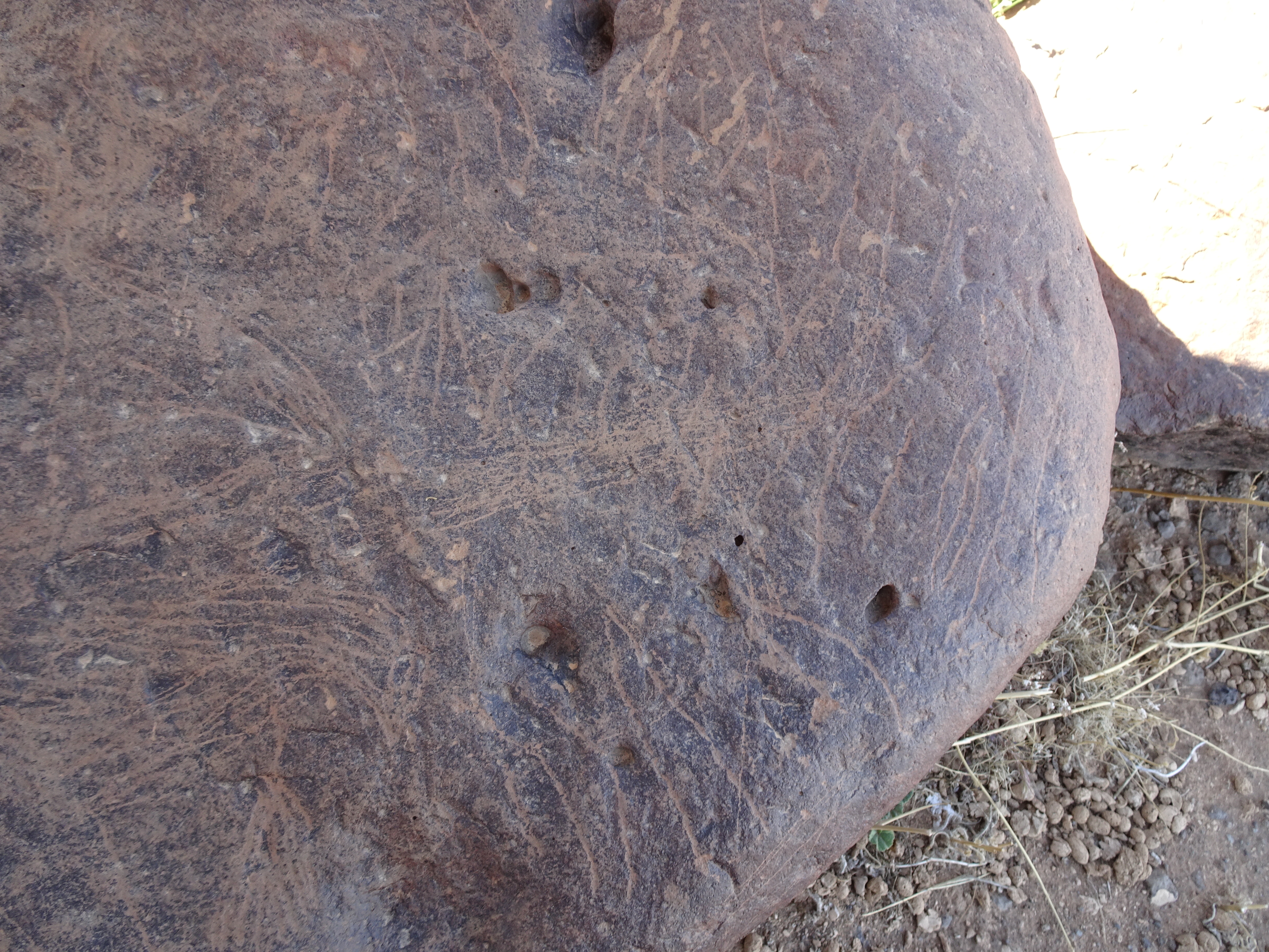 Image of siglum BES20 1429