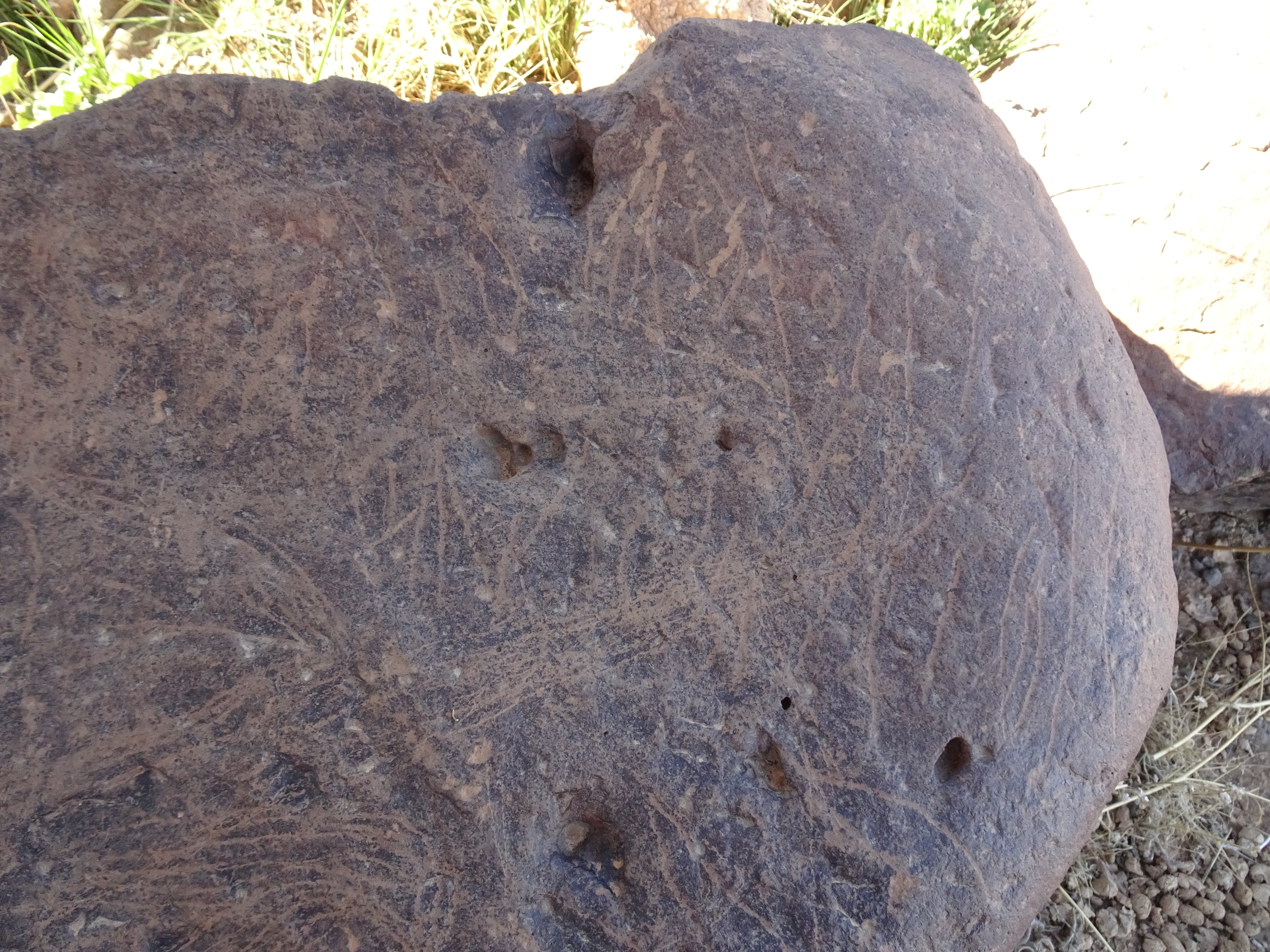 Image of siglum BES20 1429