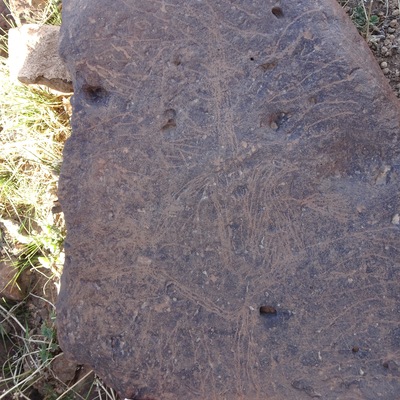 Image of siglum BES20 1429