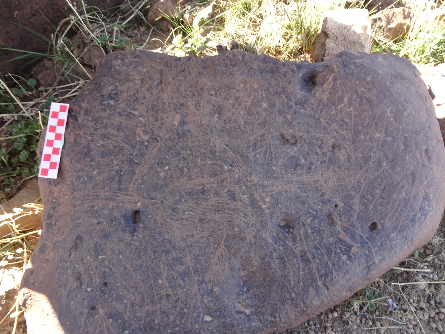 Image of siglum BES20 1429